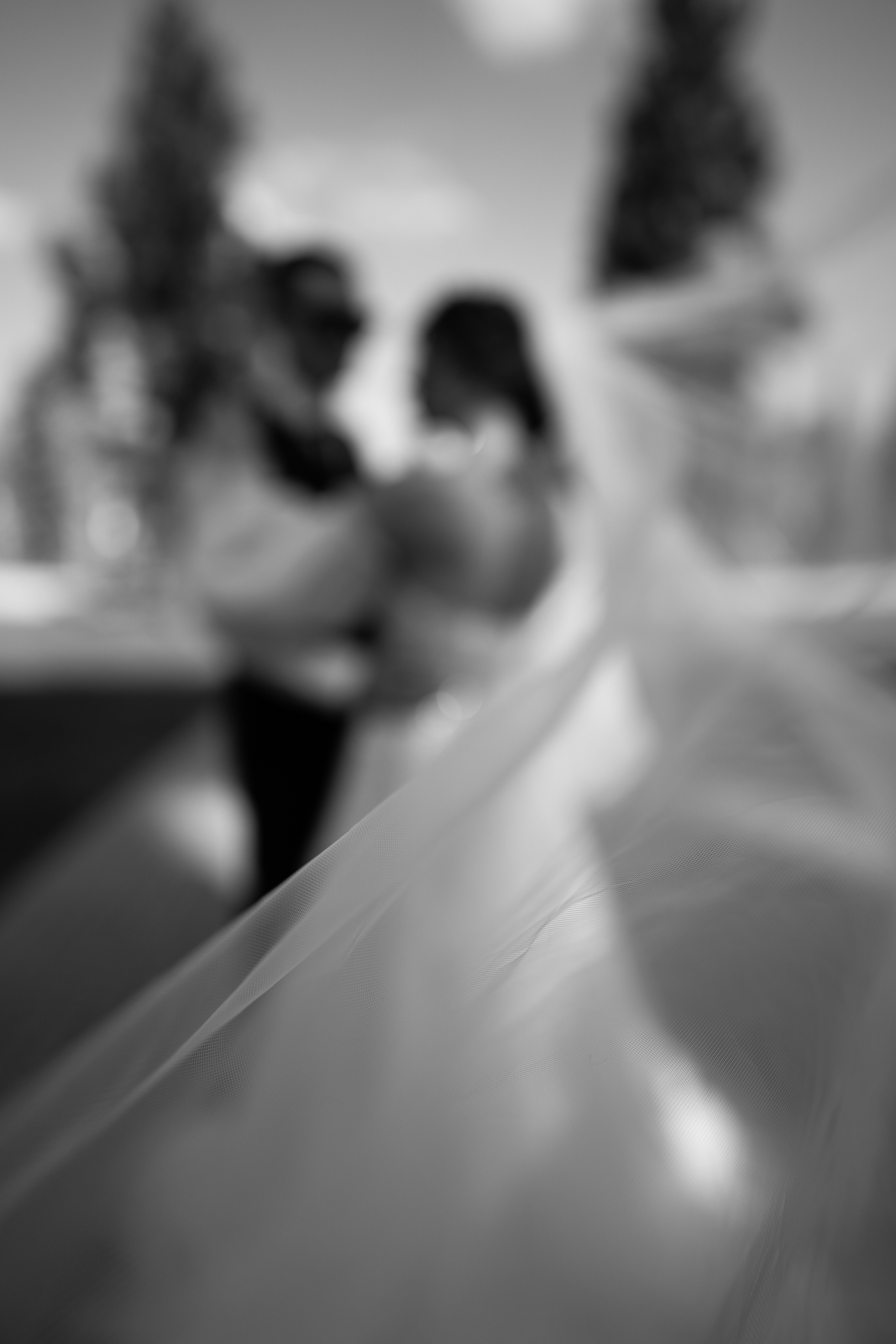 Виталий и Виктория. Фотограф Саид Дакаев г. Краснодар