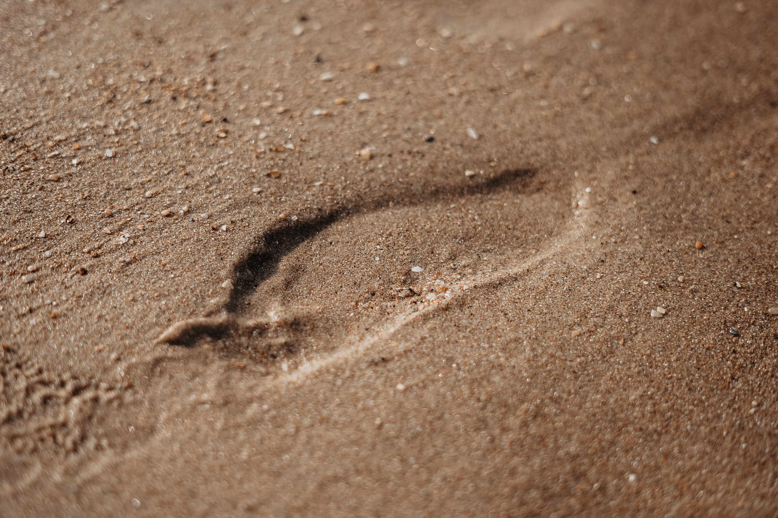 Екатерина (Анапа). Свадебный и семейный фотограф/видеограф в Краснодаре Наталья Осинская