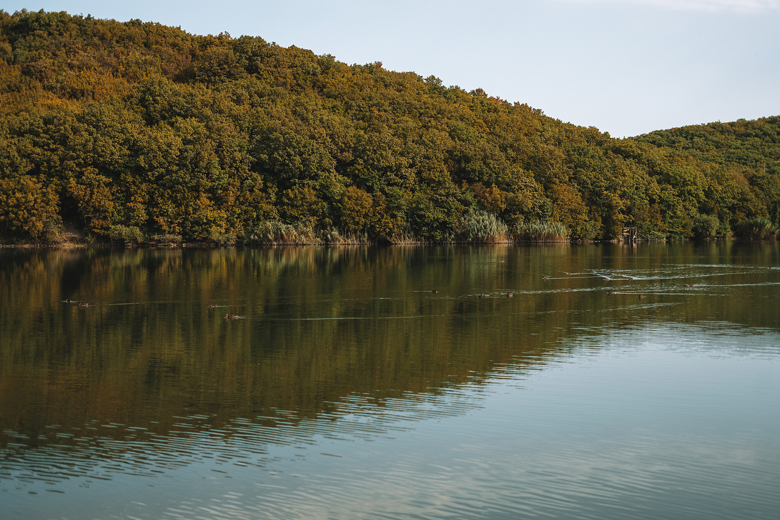 Усадьба Семигорье. Свадебный и семейный фотограф/видеограф в Краснодаре Наталья Осинская