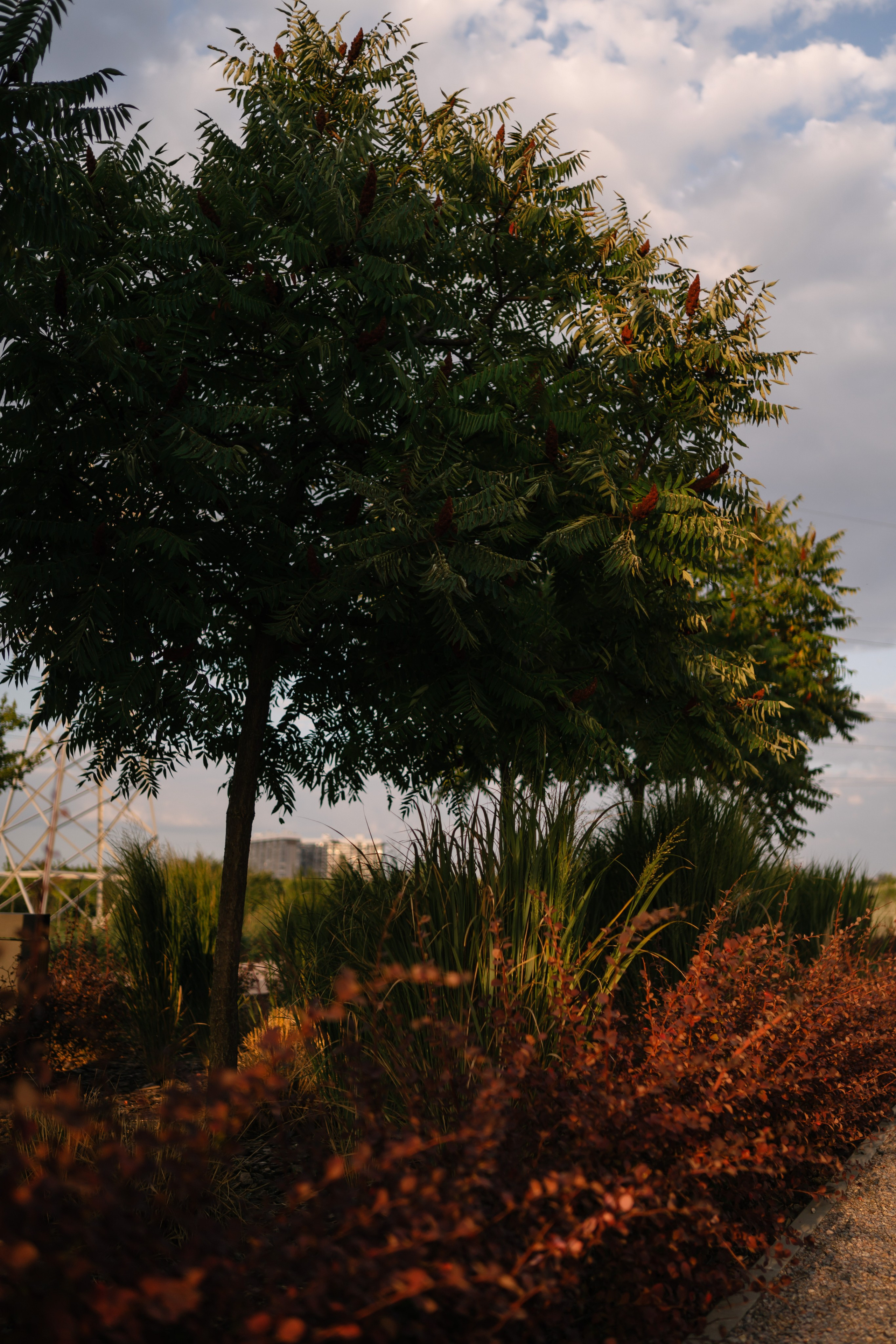Локации для школьных съемок. Семейный фотограф и видеограф Ростов-на-Дону