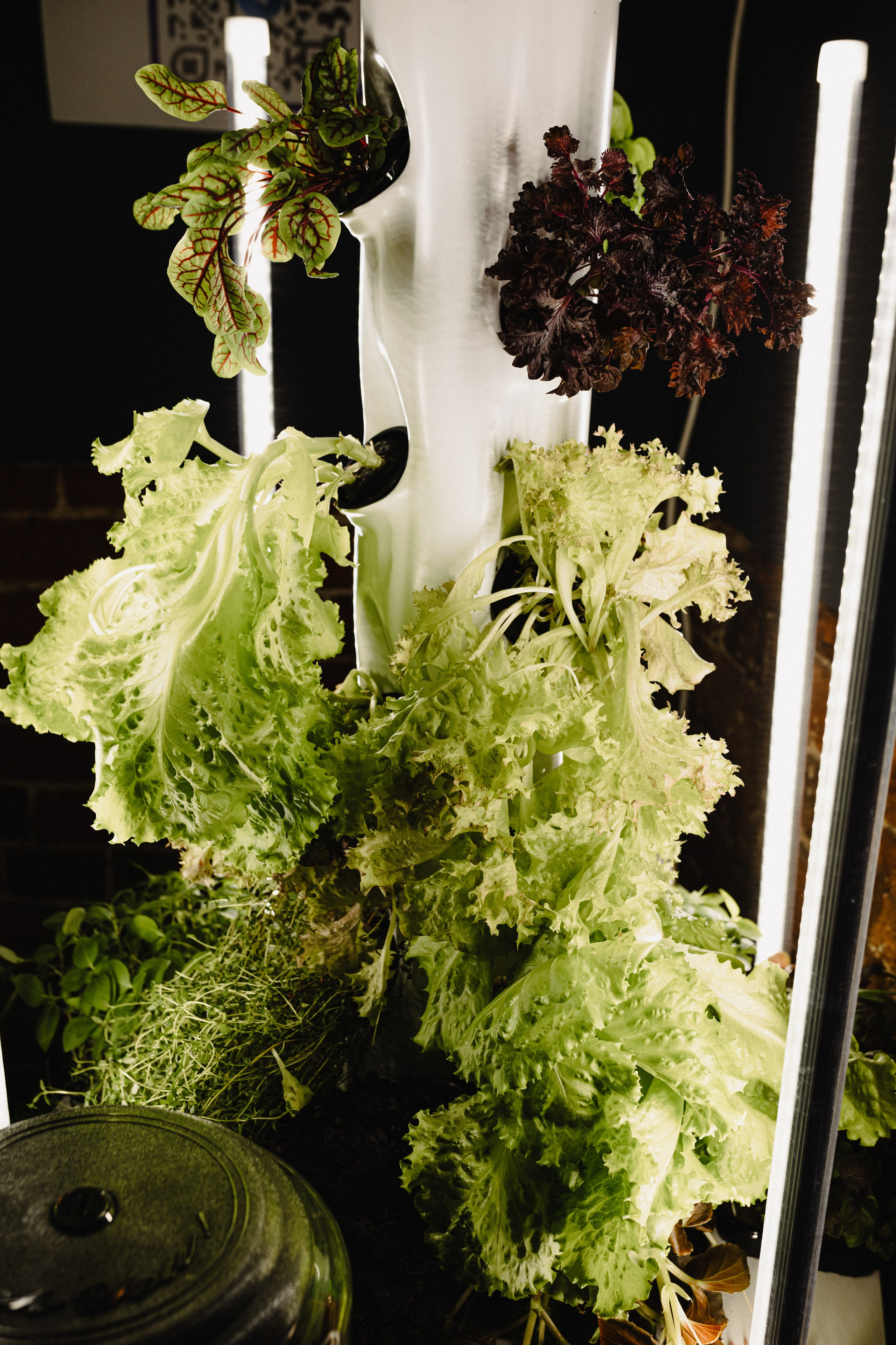 Новый уровень — Особняк 1857. Свадебный и семейный фотограф Женя Добрянская в Нижнем Новгороде