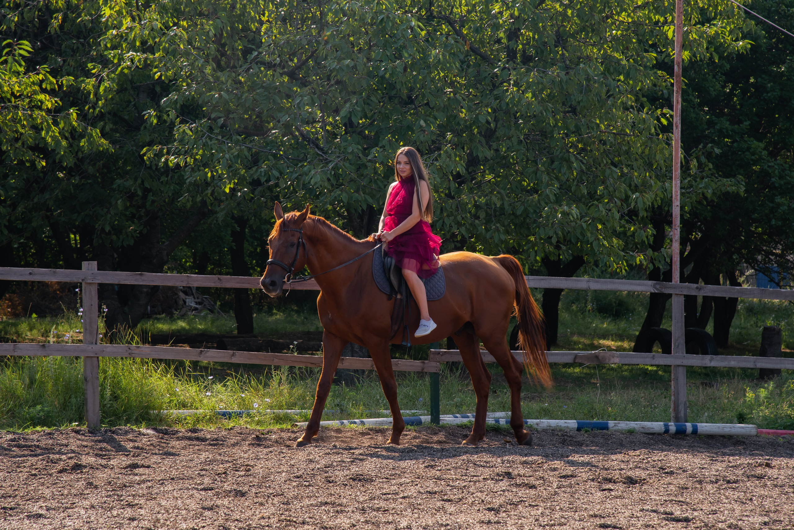 Конная прогулка. Фотограф Галина Нестерова
