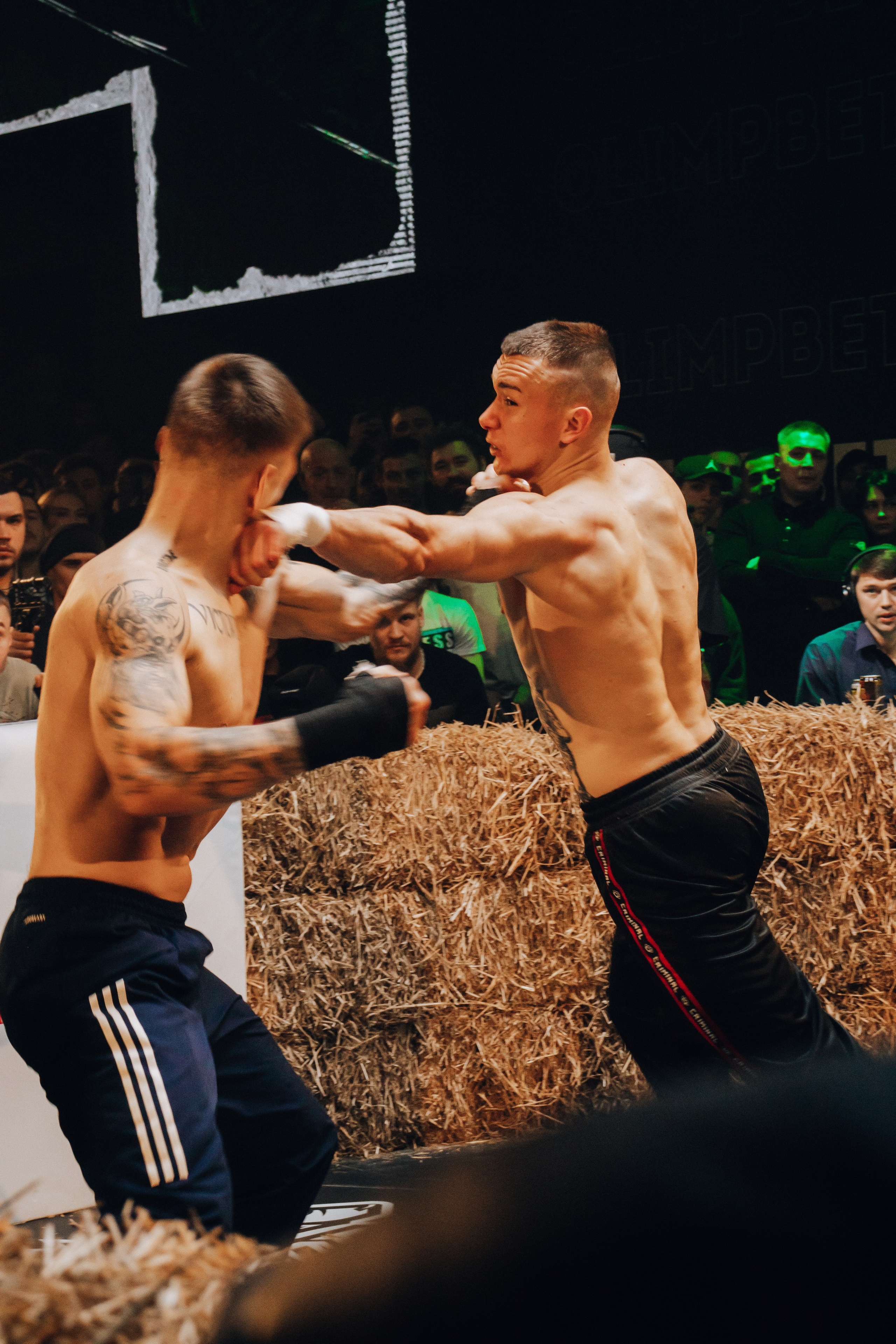 Кулачные бои TopDog. Анастасия Тен