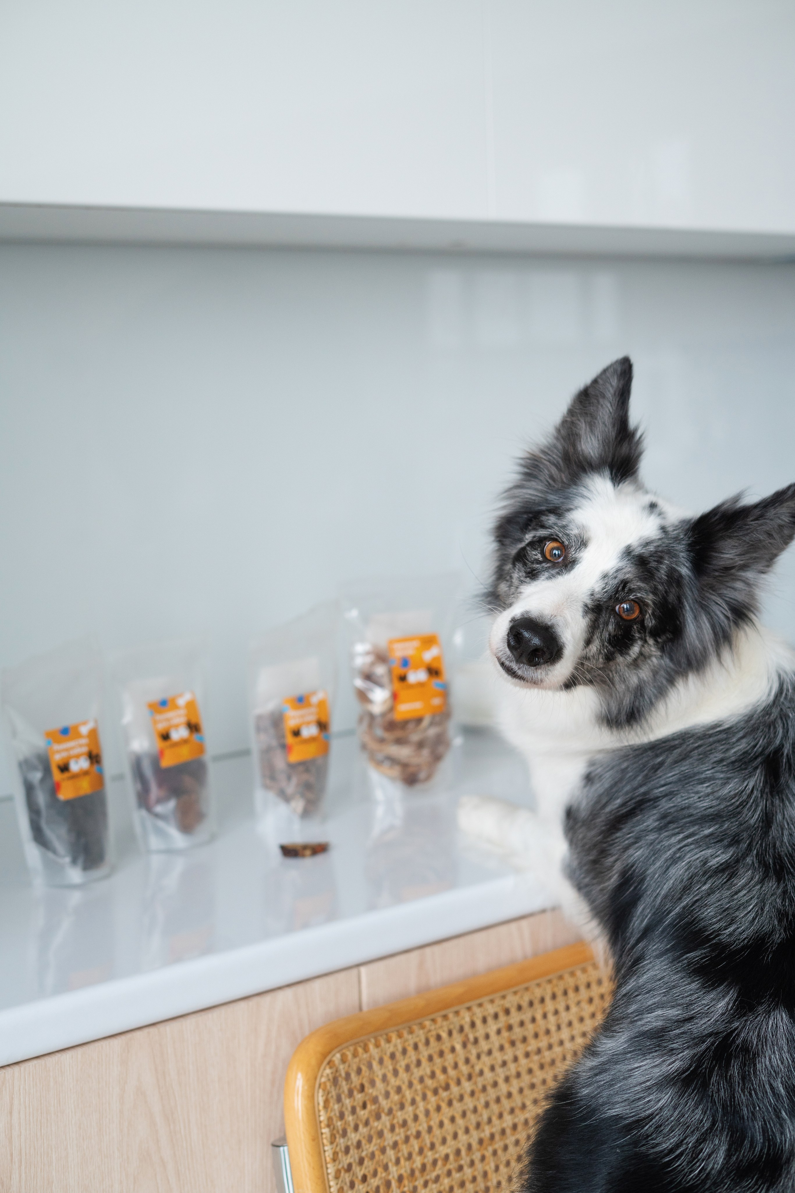 Лакомства Woofa. Фотограф анималист Осипчикова Мария