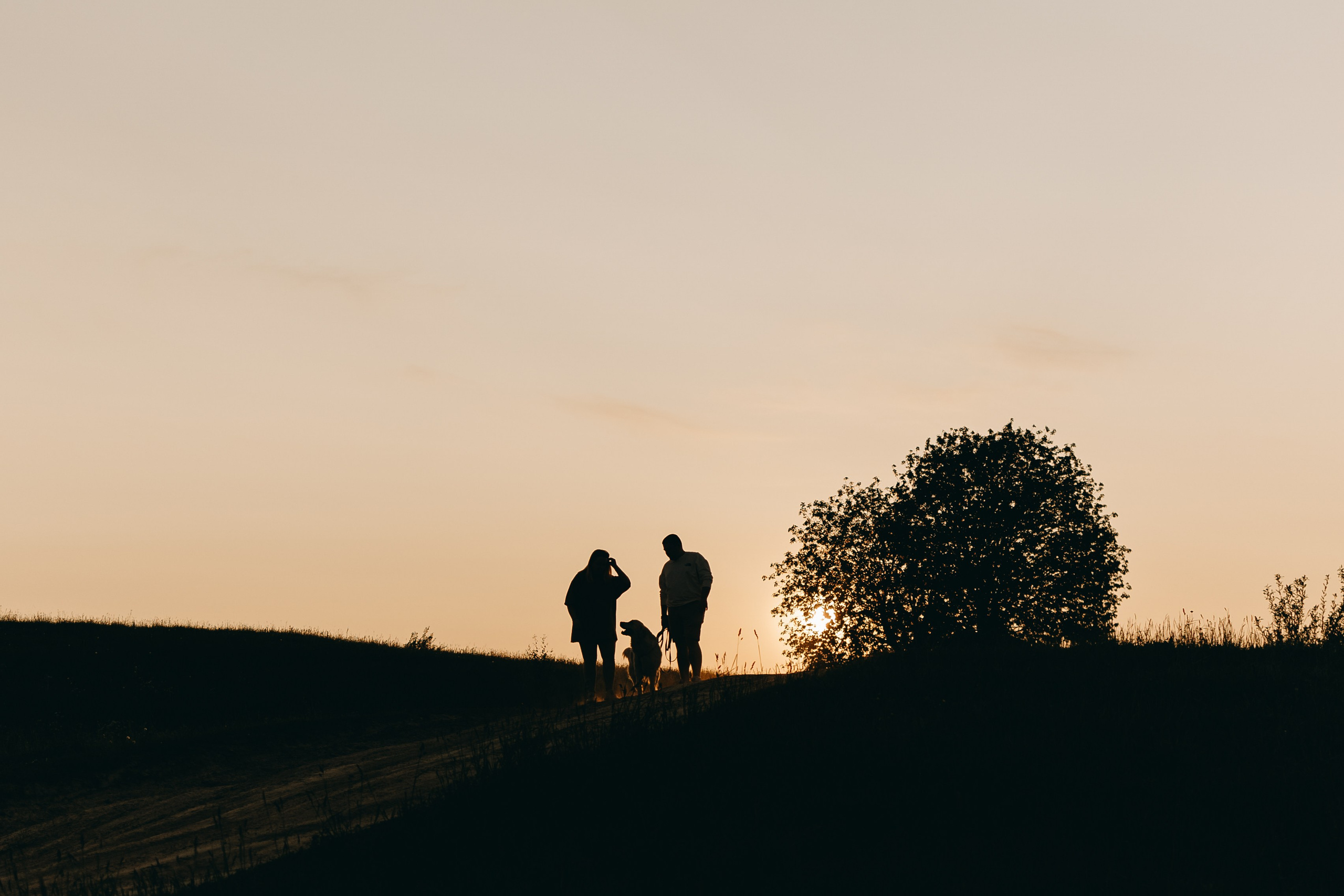Милка и ребята. Фотограф — Анималист | Санкт-Петербург