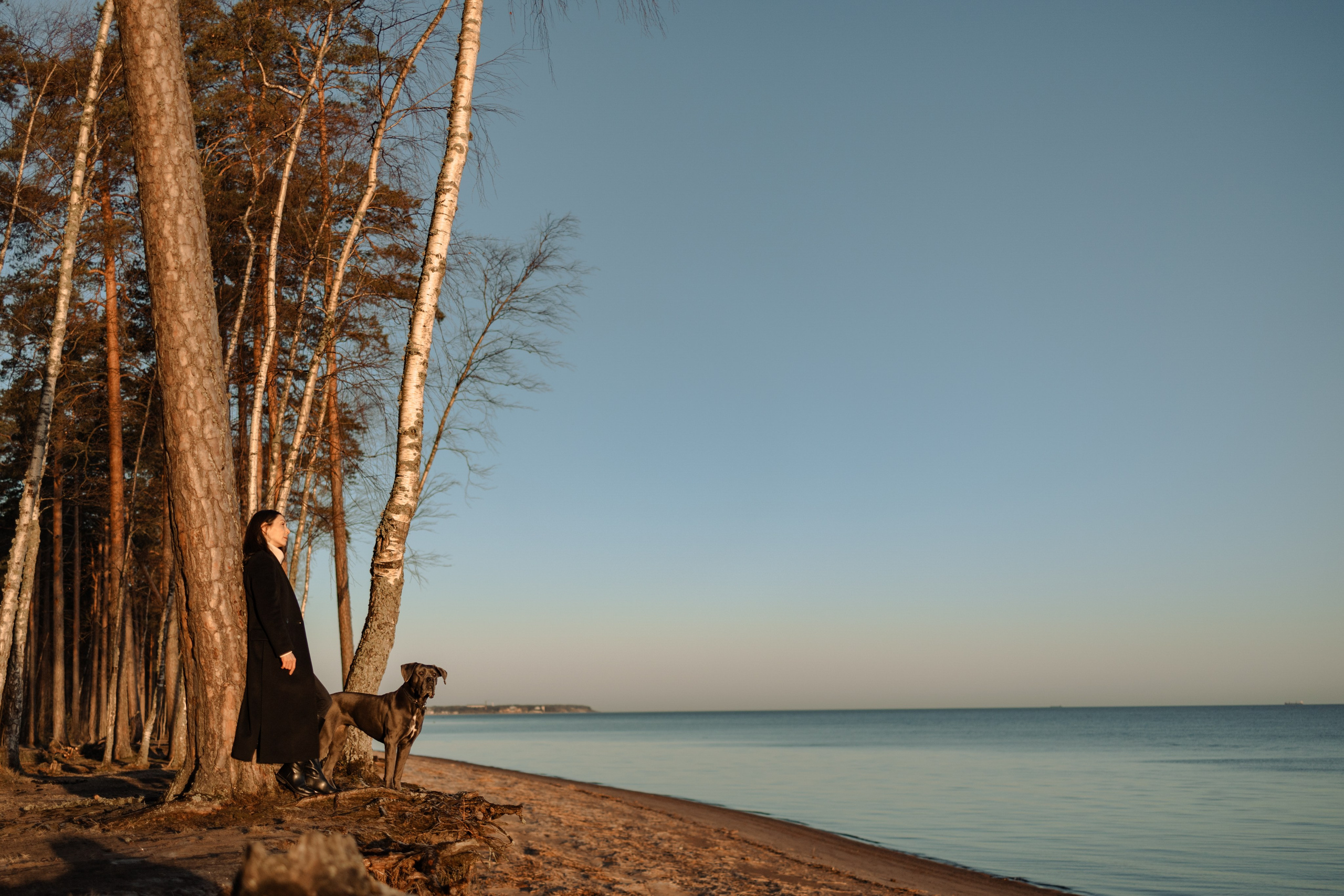 Анна и Лана. Фотограф — Анималист | Санкт-Петербург