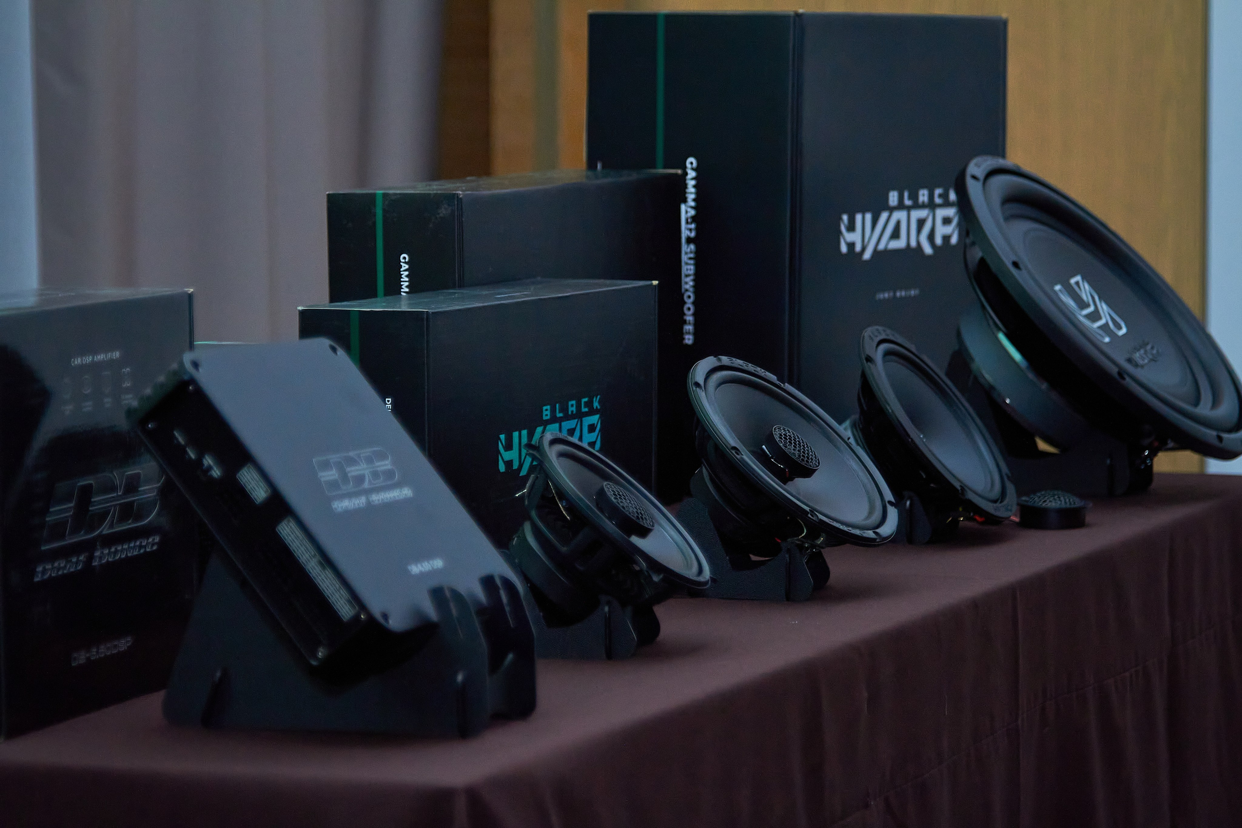 Конференция BLACK HYDRA DEAF BONCE 2025. Фотограф Мероприятий Новосибирск