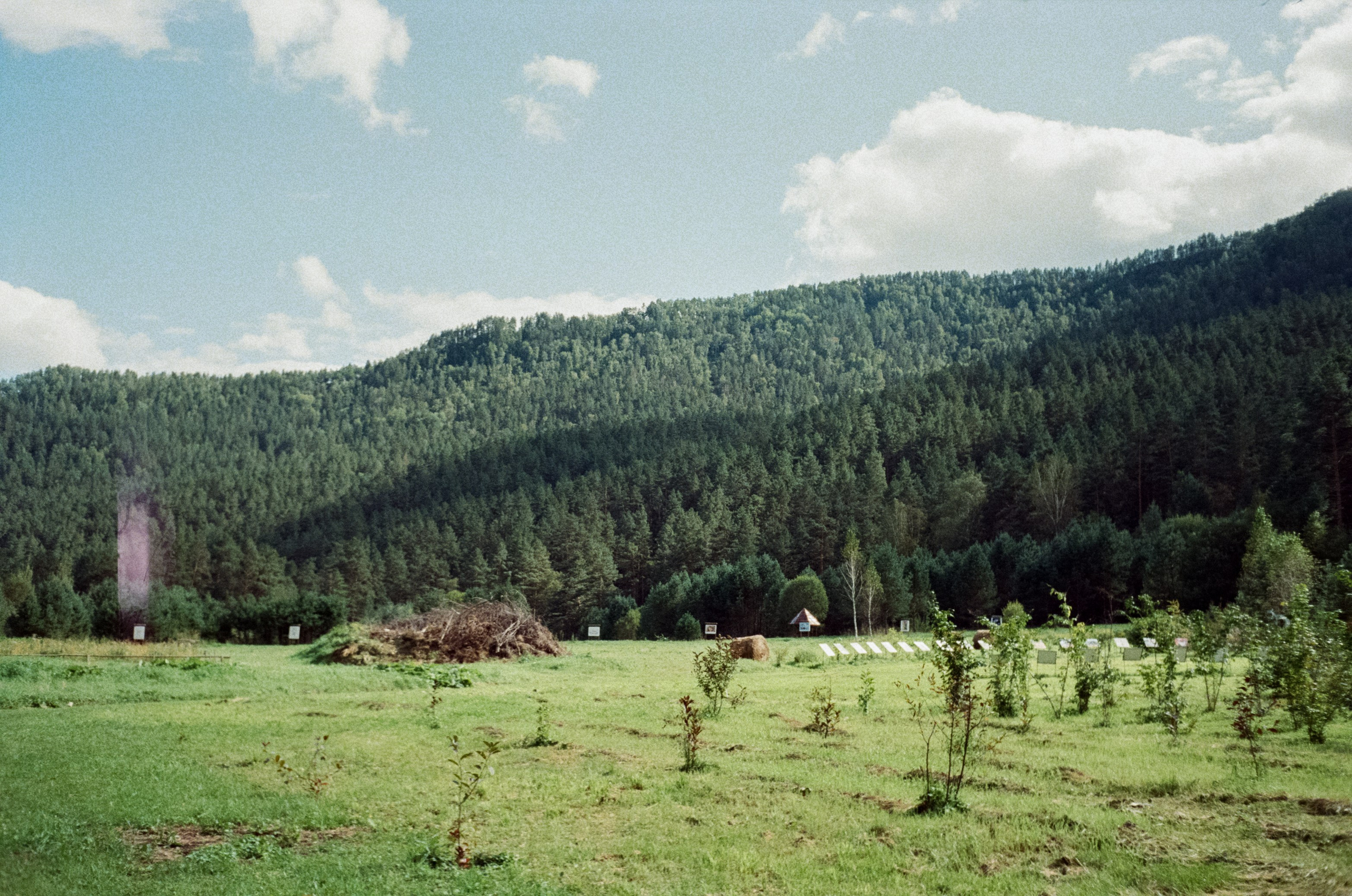 Горно-алтайский ботанический сад, база Кедровый остров / 27 августа 2024 года