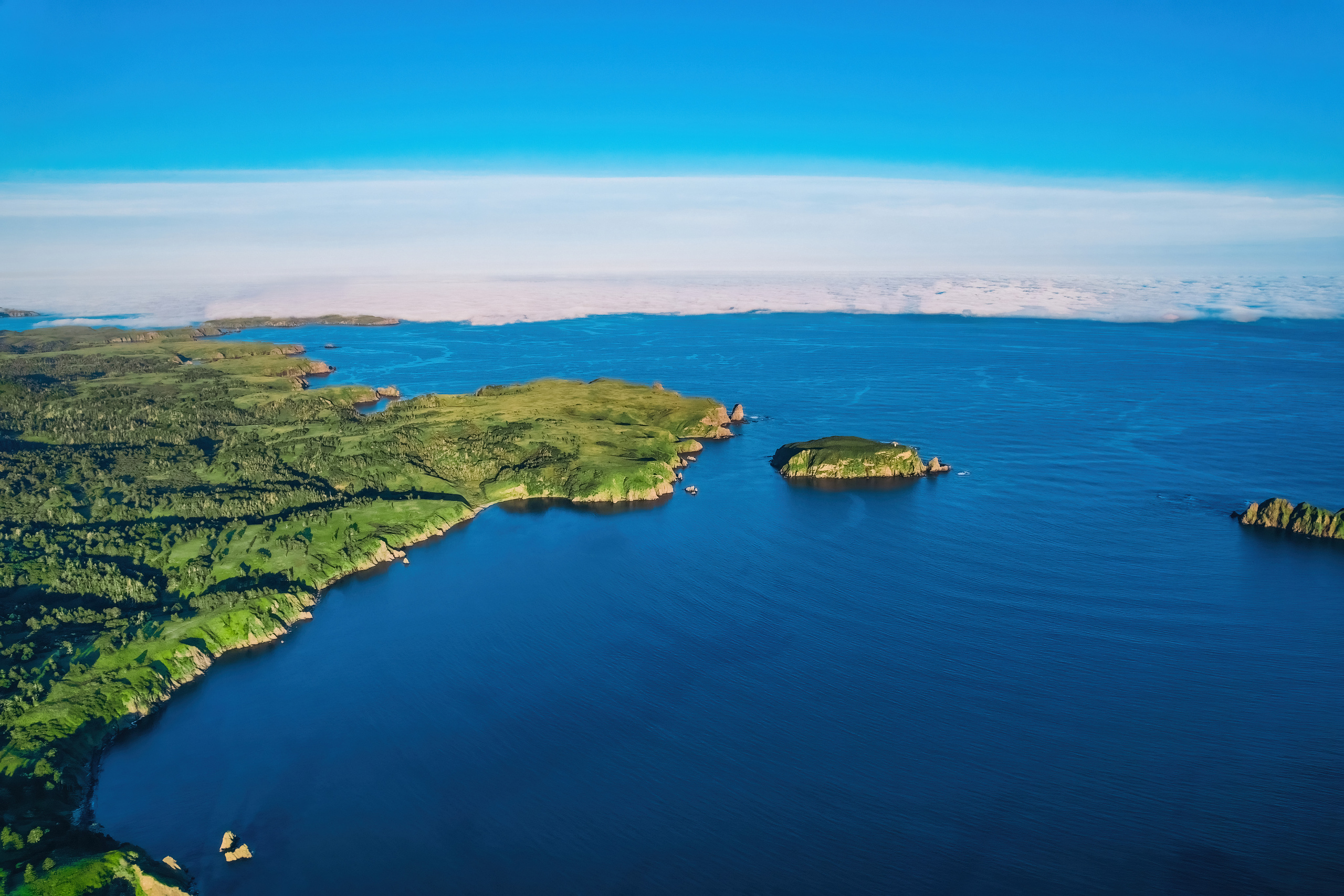 Сахалин. Event фотограф Степанова Александра