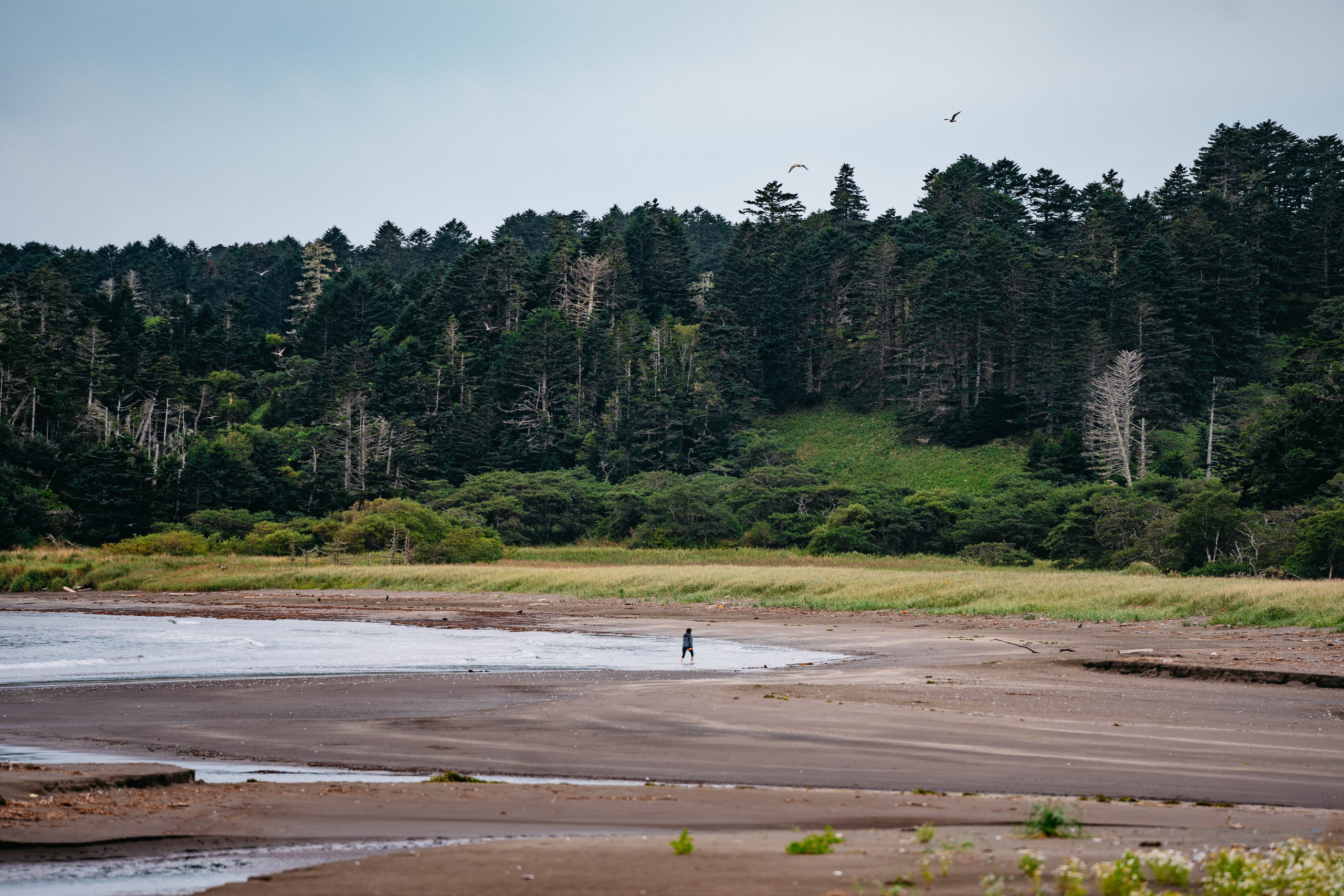 Сахалин. Event фотограф Степанова Александра