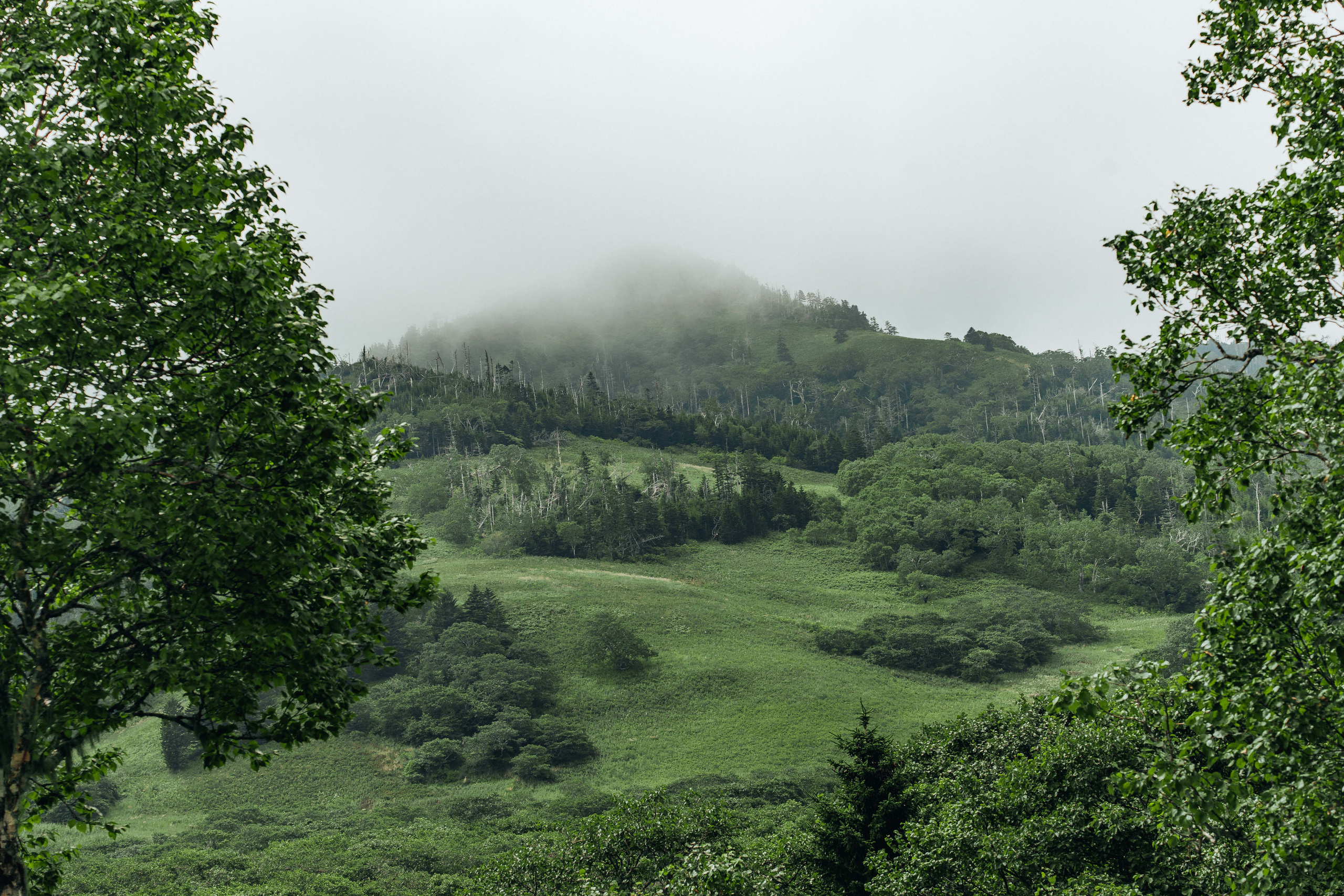 Сахалин. Event фотограф Степанова Александра