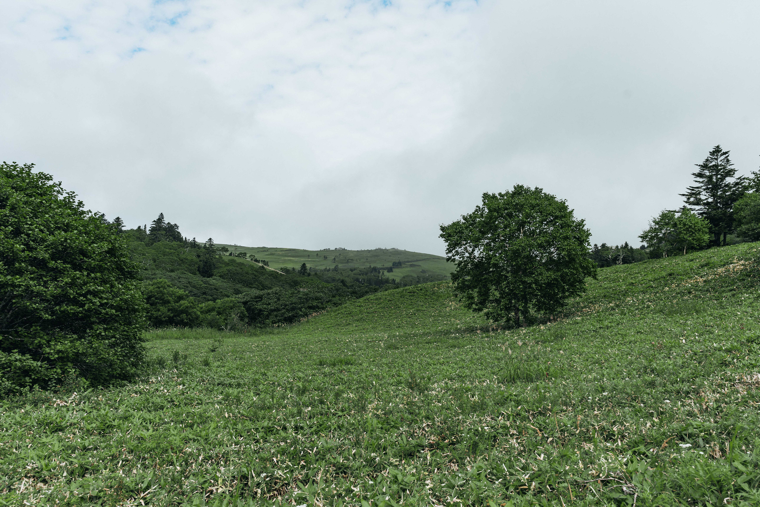 Сахалин. Event фотограф Степанова Александра