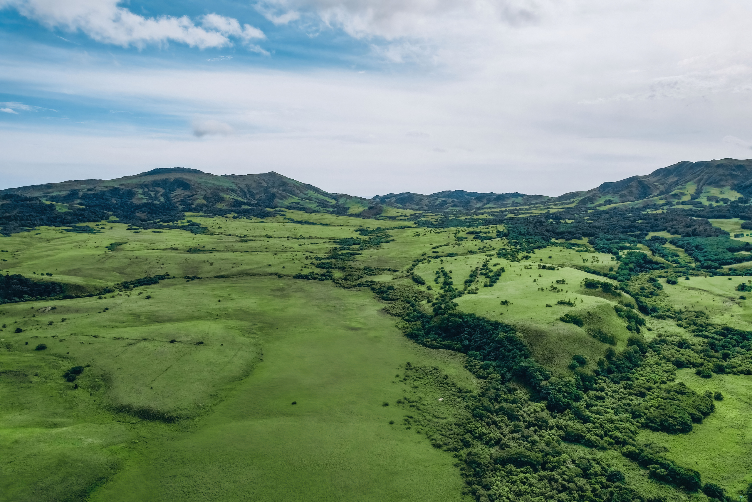 Сахалин. Event фотограф Степанова Александра