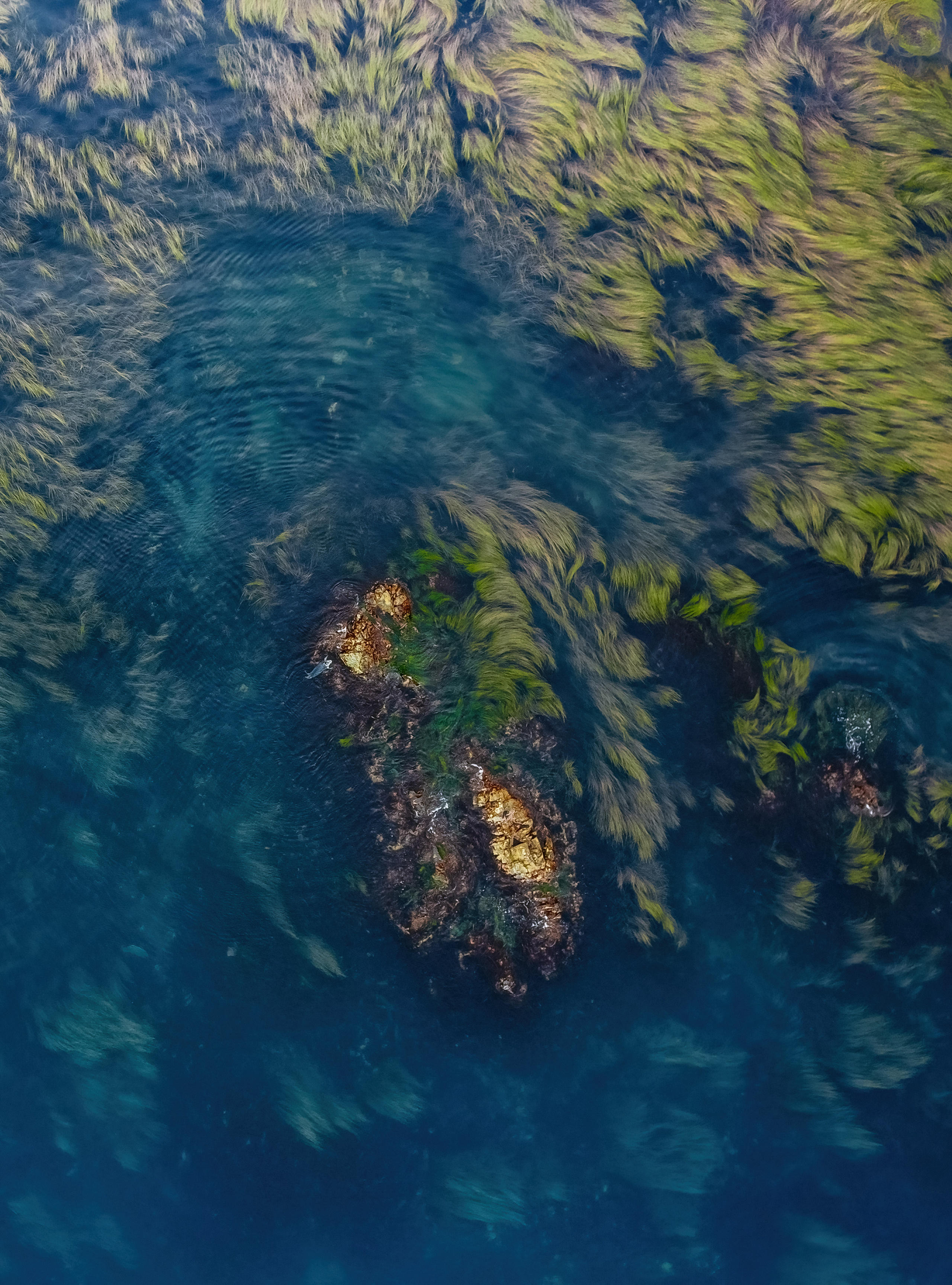 Сахалин. Event фотограф Степанова Александра