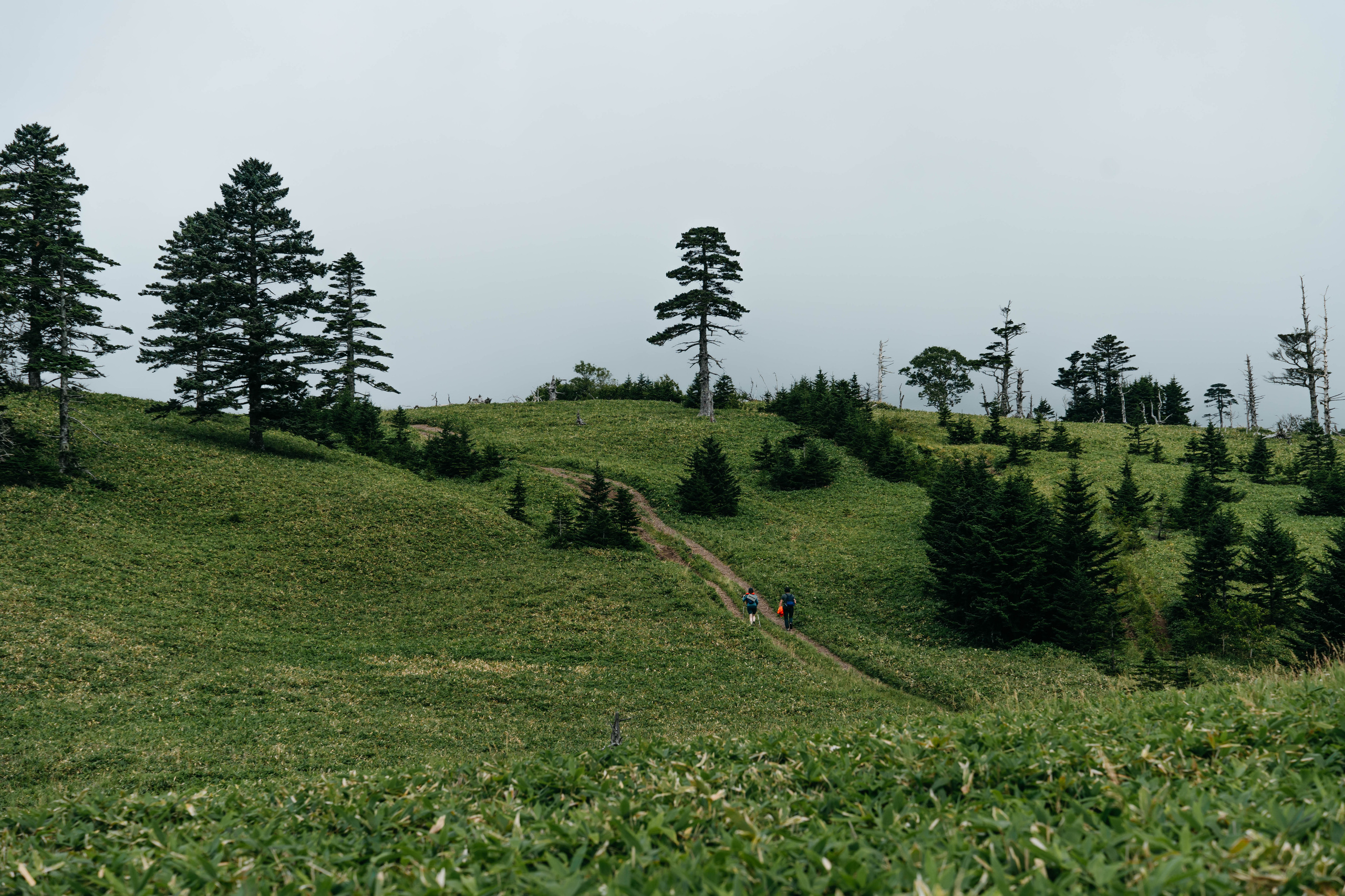 Сахалин. Event фотограф Степанова Александра