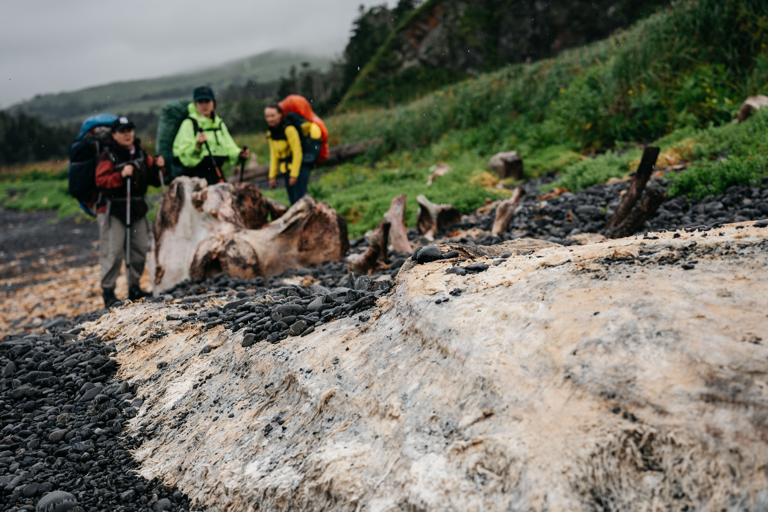 Сахалин. Event фотограф Степанова Александра