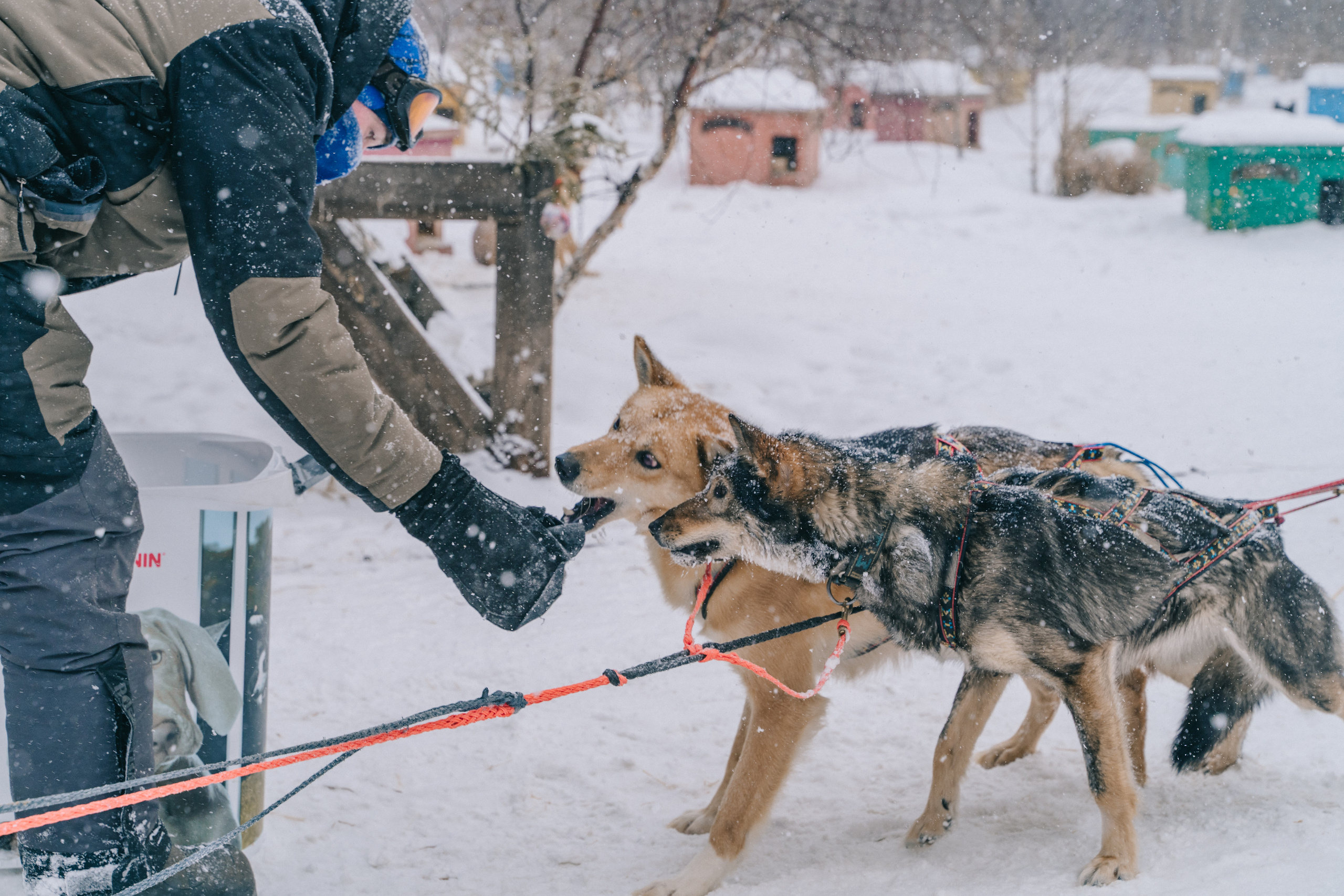 Байкал. Event фотограф Степанова Александра