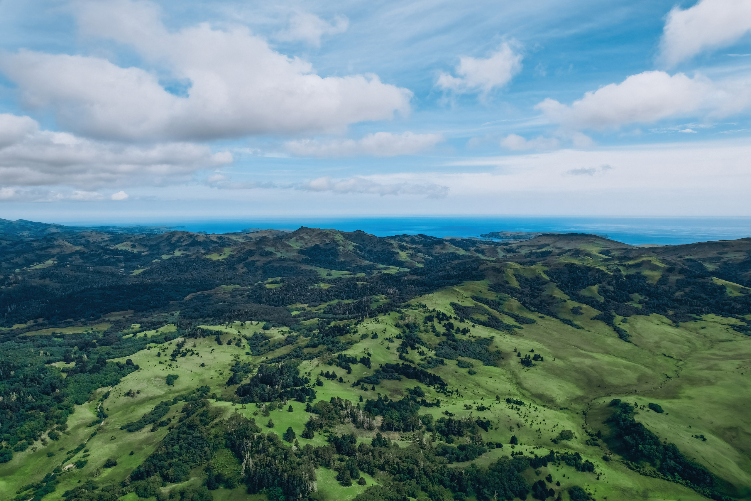 Сахалин. Event фотограф Степанова Александра
