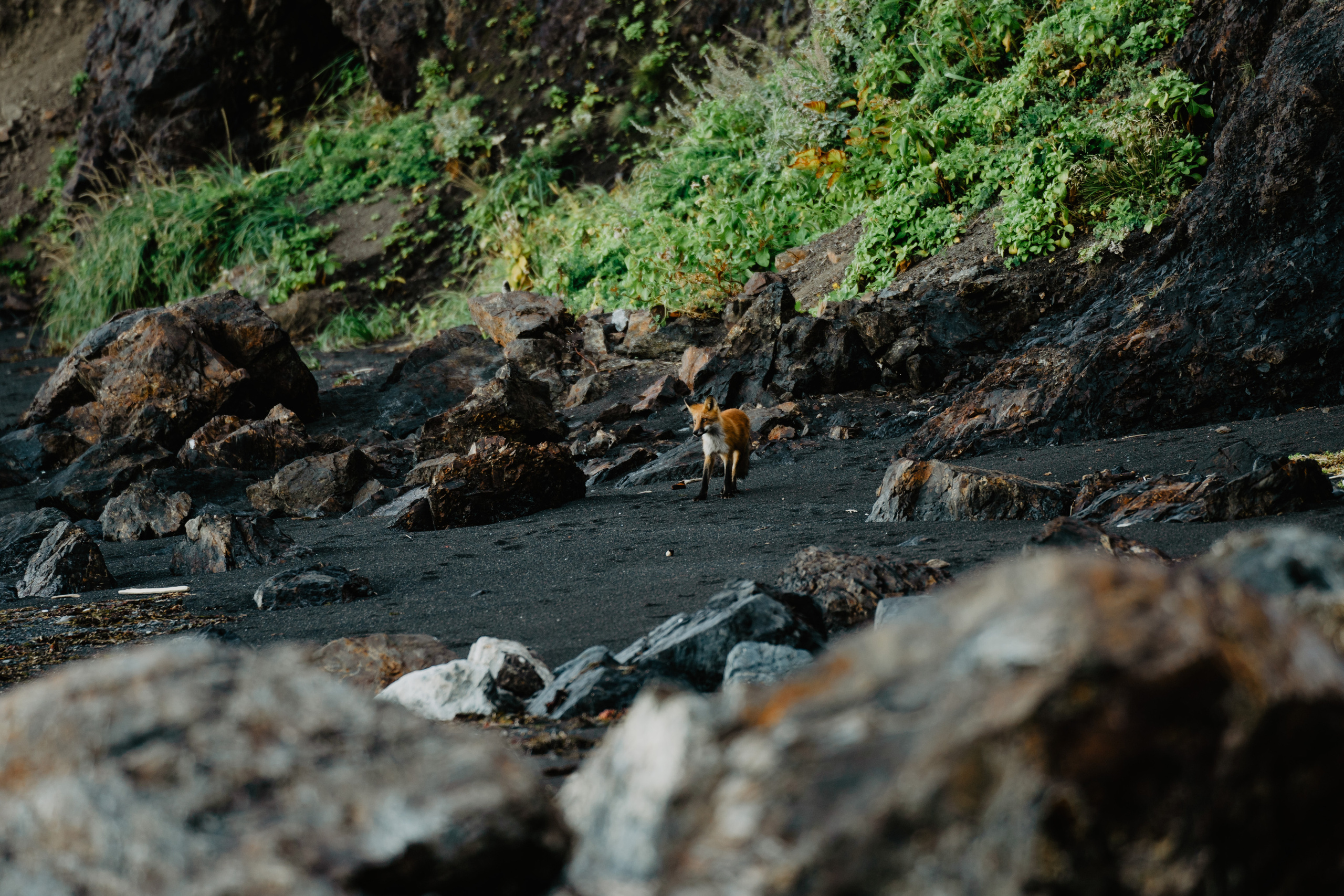 Сахалин. Event фотограф Степанова Александра