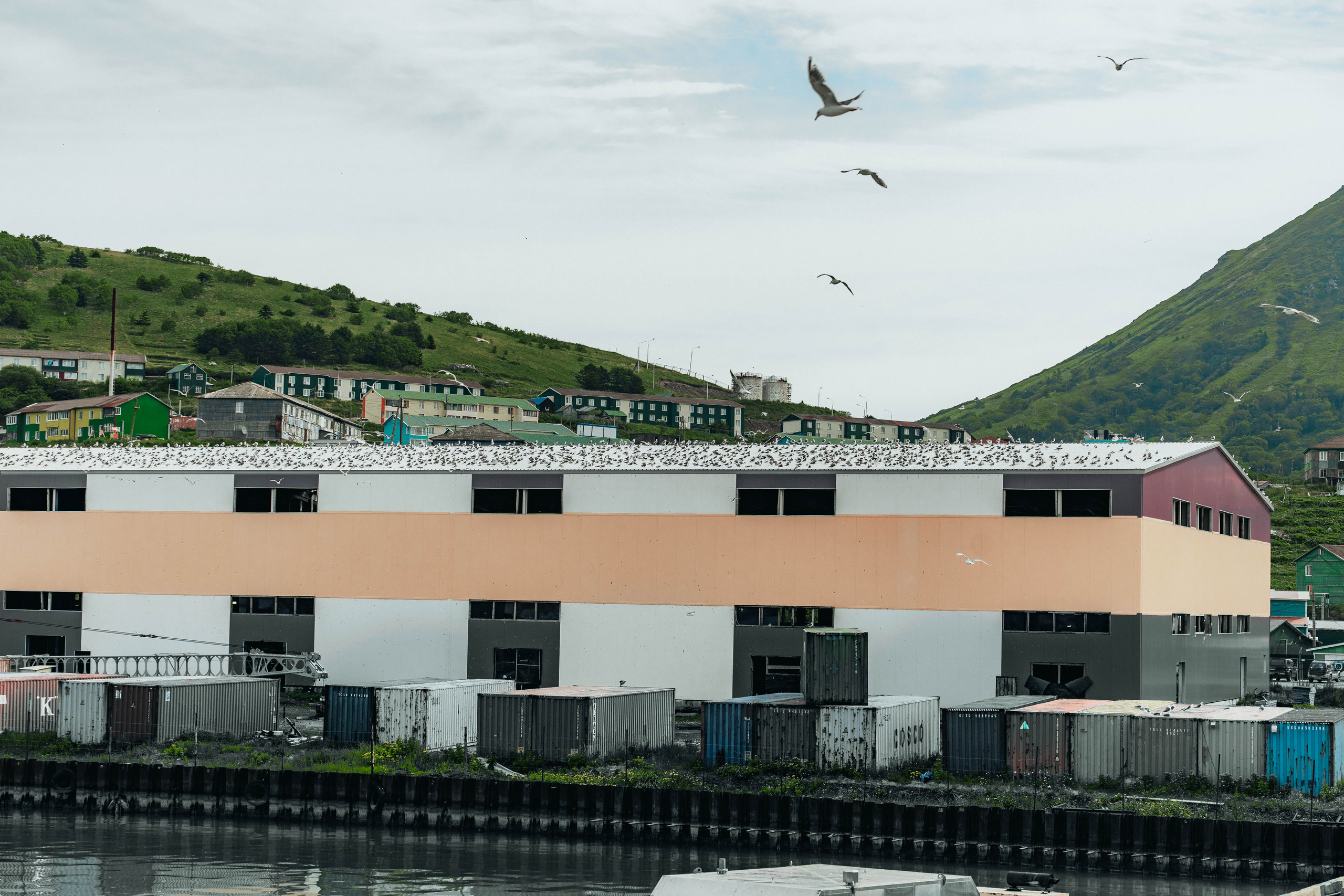 Сахалин. Event фотограф Степанова Александра