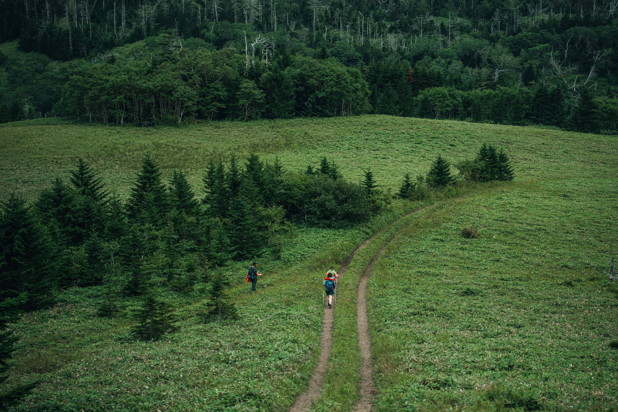 Сахалин. Event фотограф Степанова Александра
