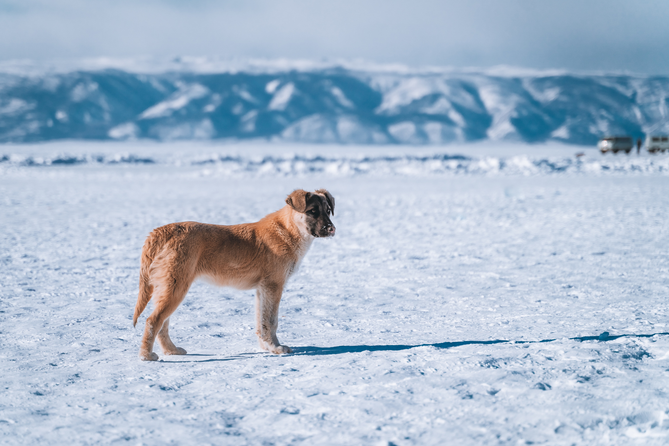 Байкал. Event фотограф Степанова Александра