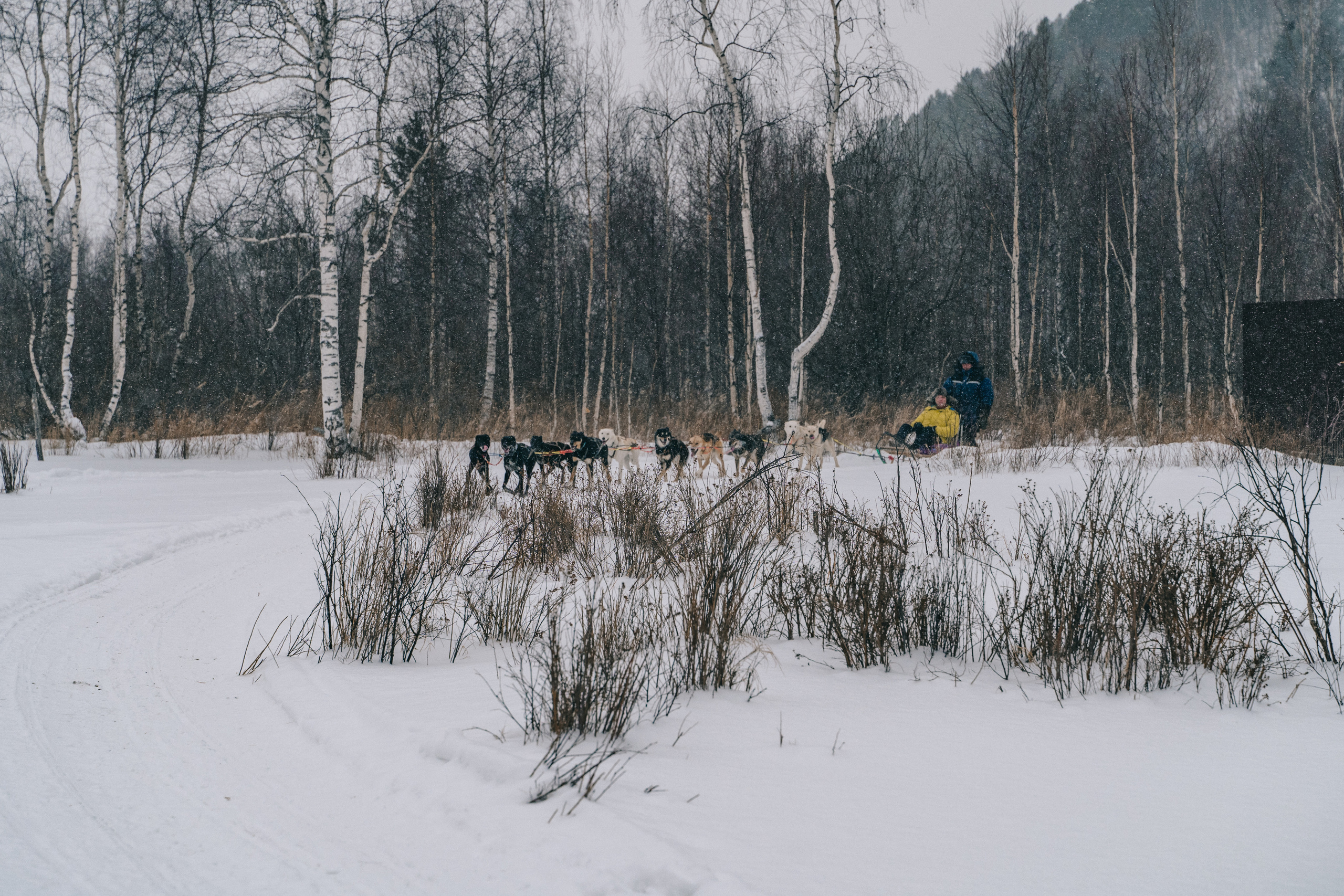 Байкал. Event фотограф Степанова Александра