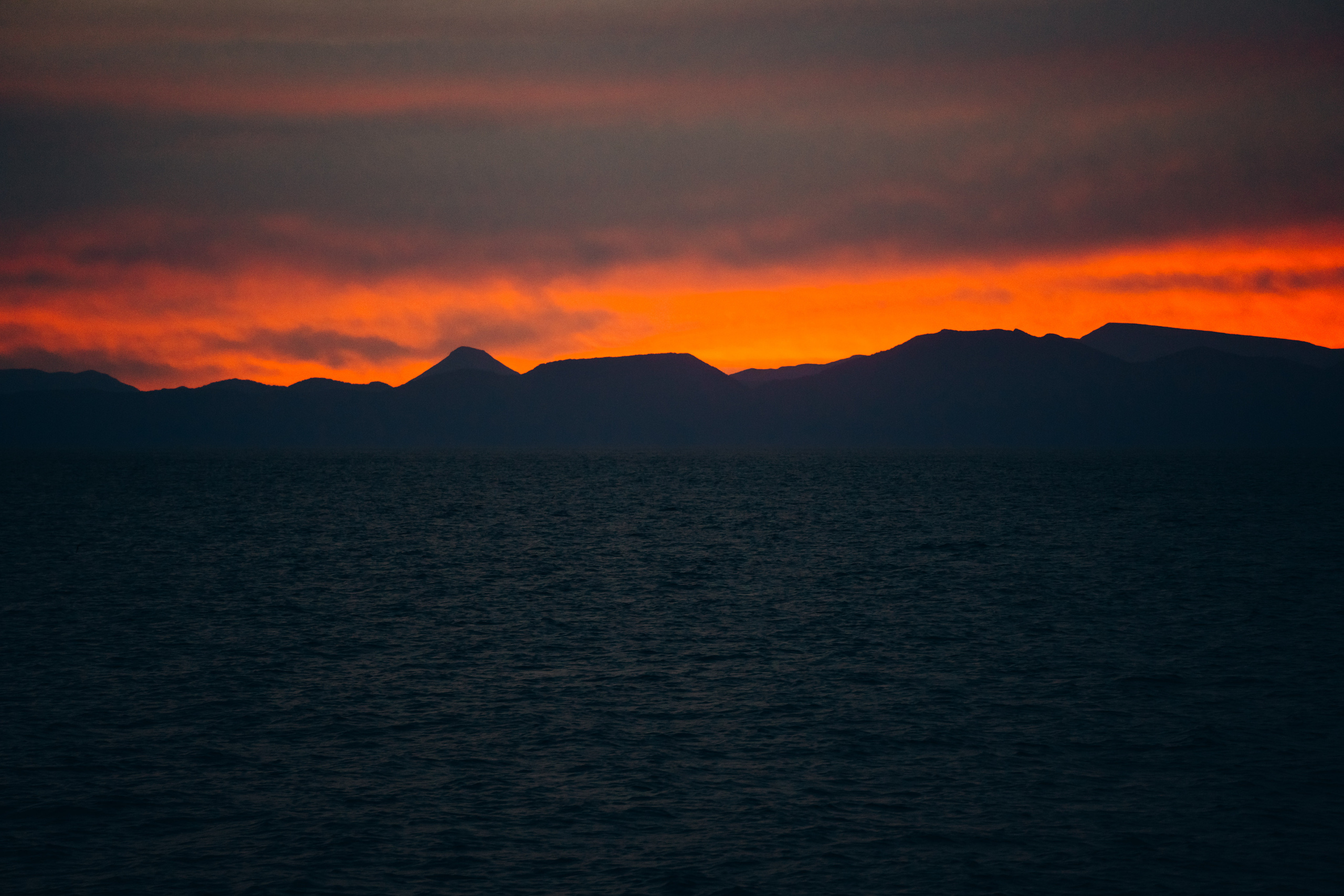 Сахалин. Event фотограф Степанова Александра