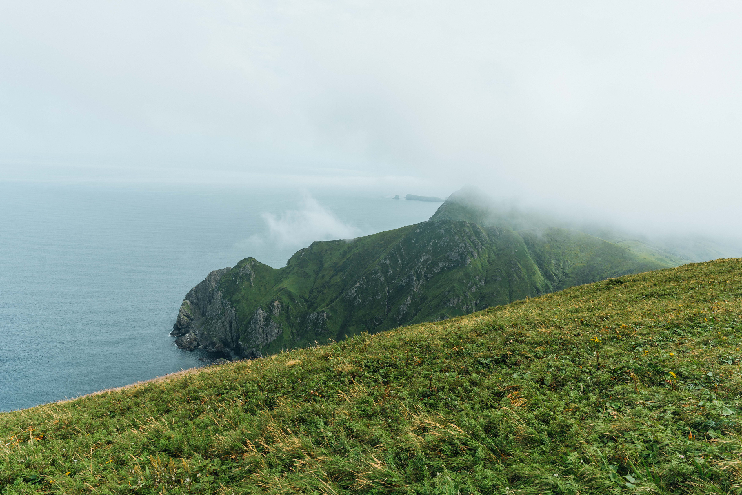 Сахалин. Event фотограф Степанова Александра