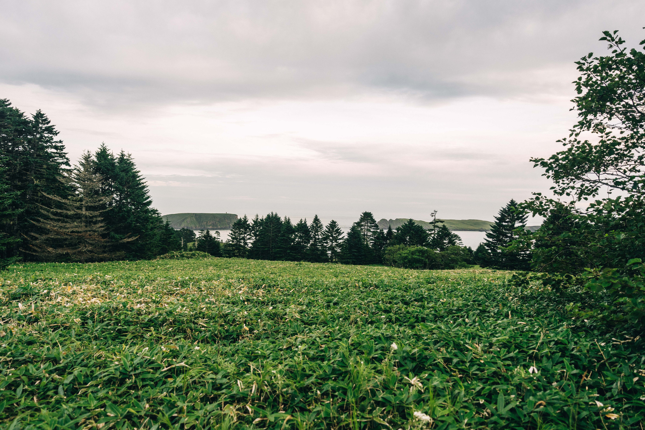 Сахалин. Event фотограф Степанова Александра
