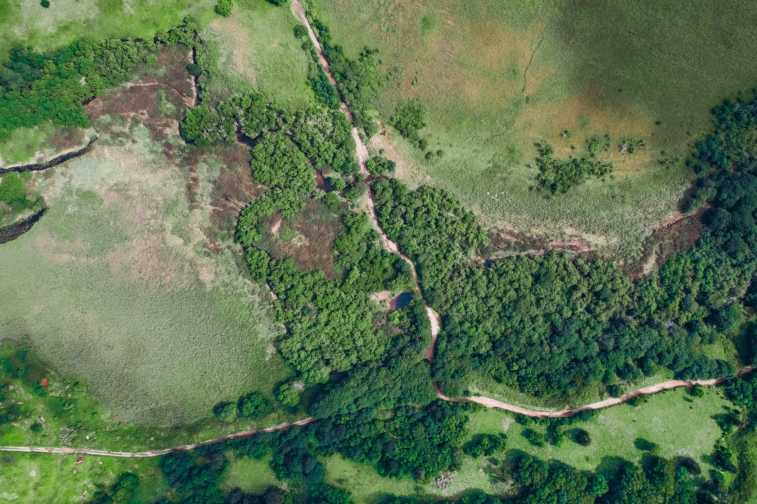 Сахалин. Event фотограф Степанова Александра