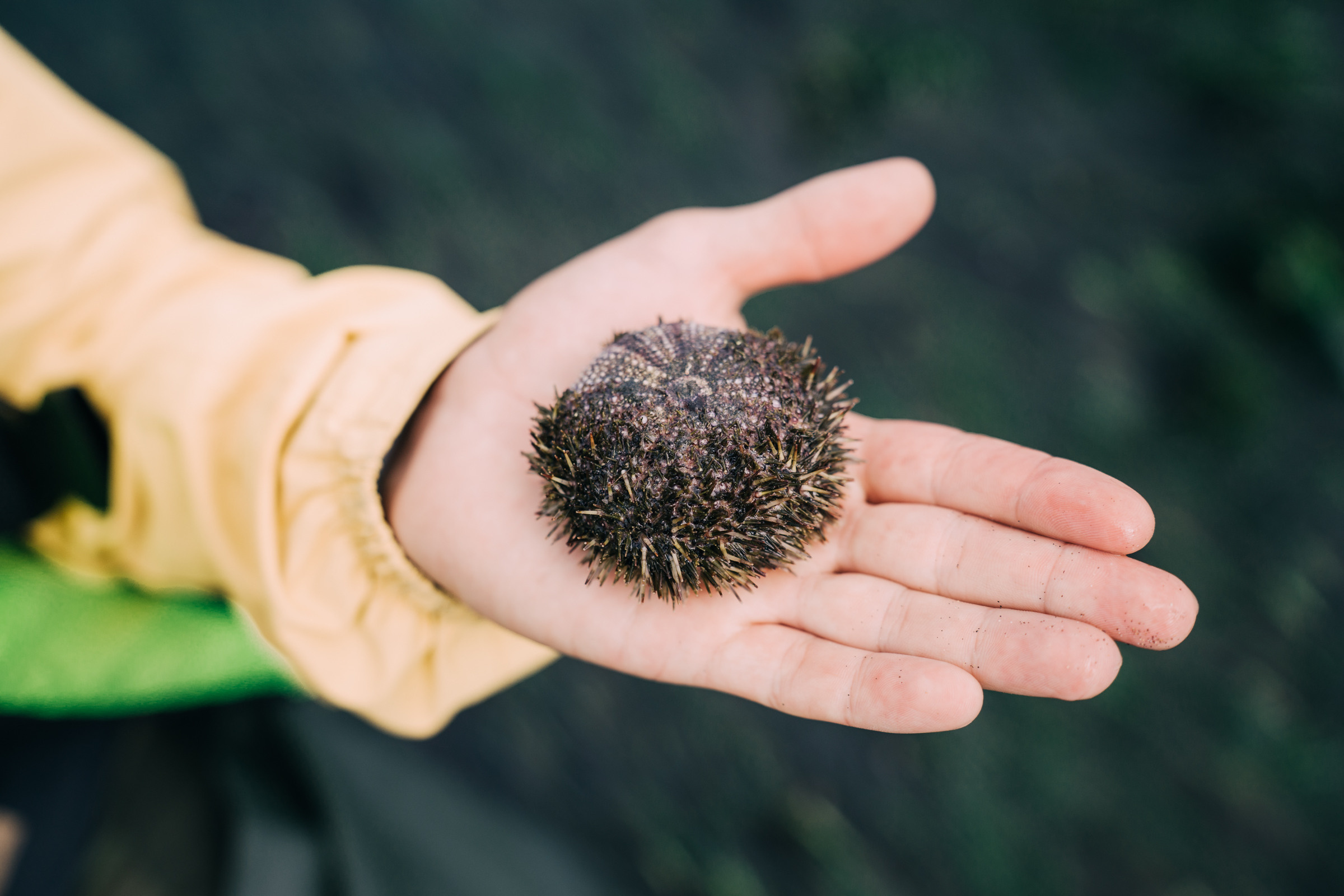 Остров Шикотан. Event фотограф Степанова Александра