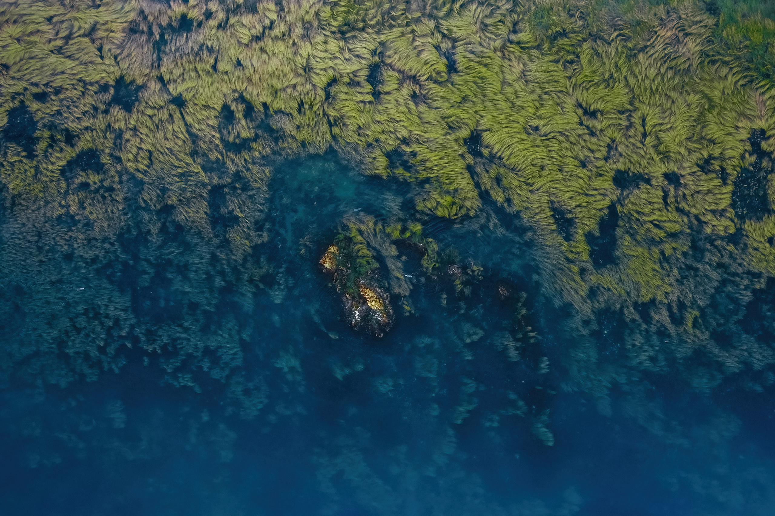 Сахалин. Event фотограф Степанова Александра