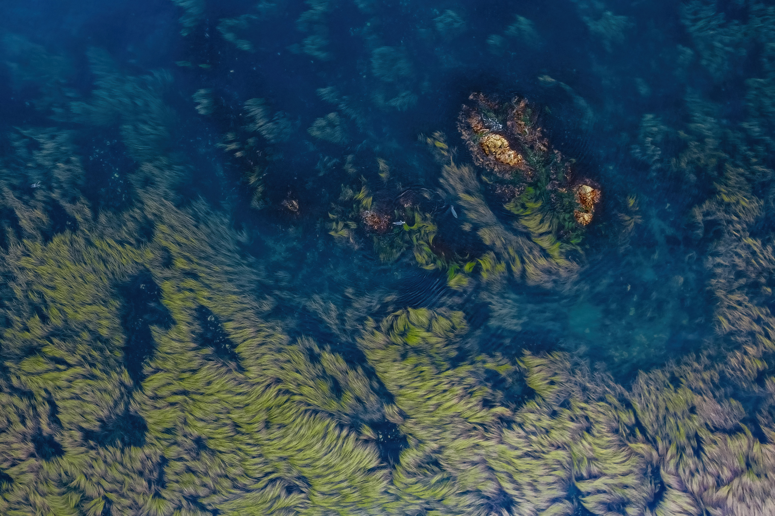 Сахалин. Event фотограф Степанова Александра