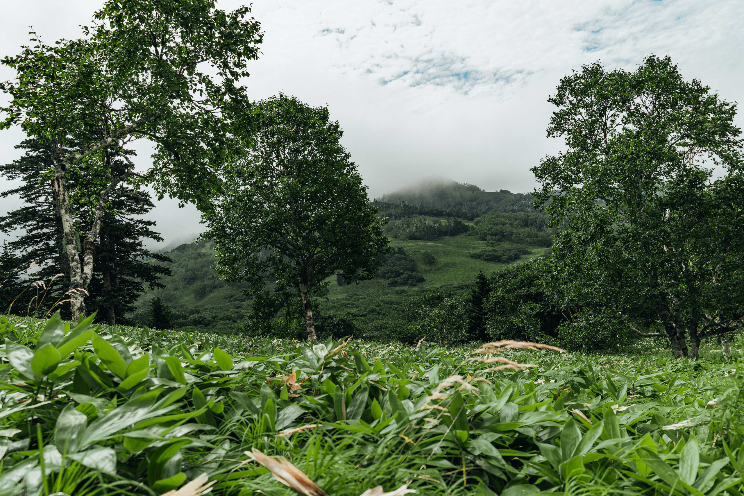 Сахалин. Event фотограф Степанова Александра