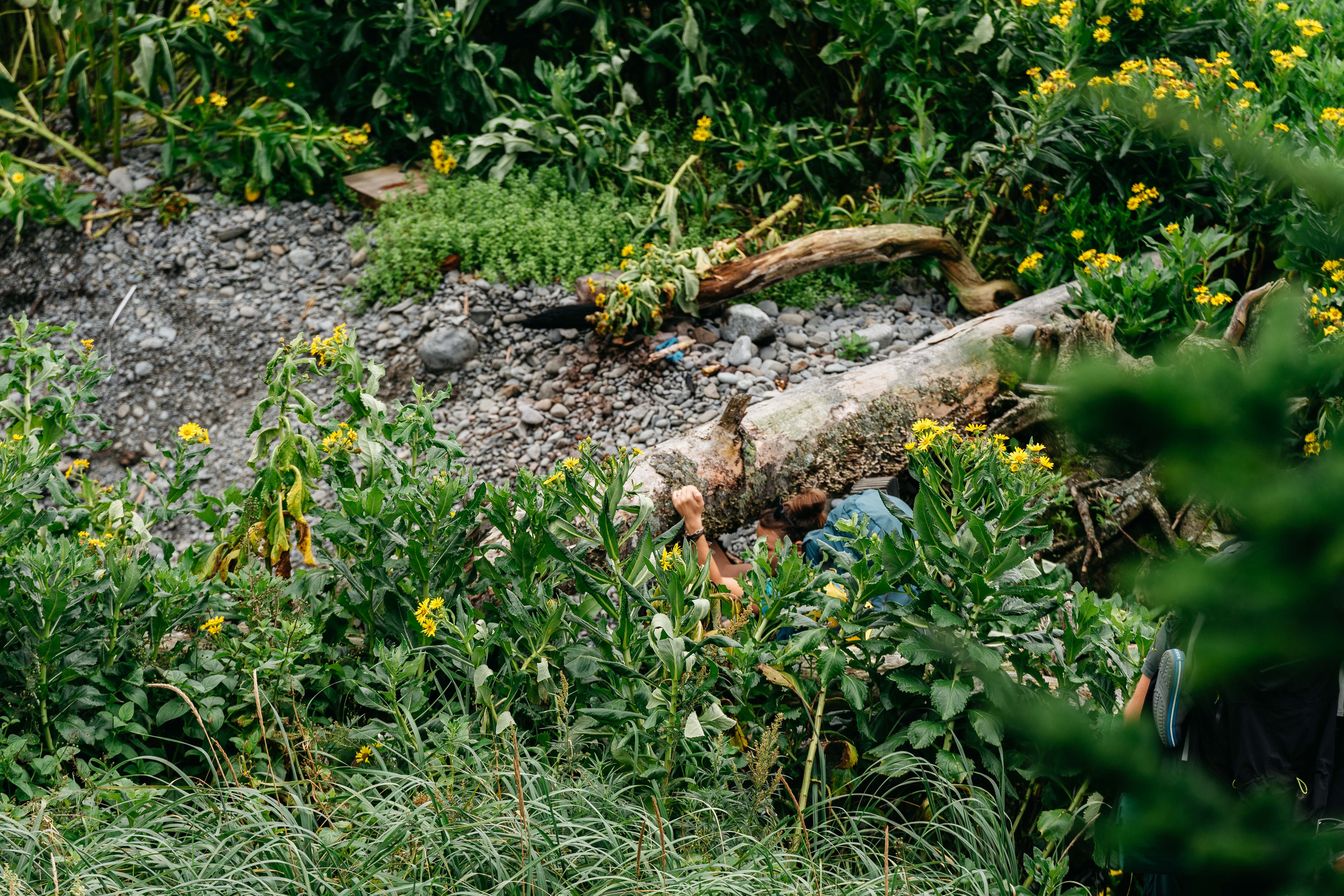 Сахалин. Event фотограф Степанова Александра