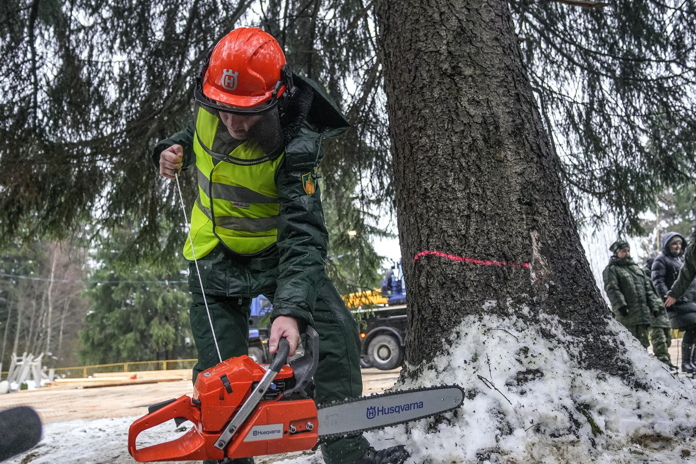 Спил Кремлевской ёлки под Волоколамском. Event фотограф Степанова Александра