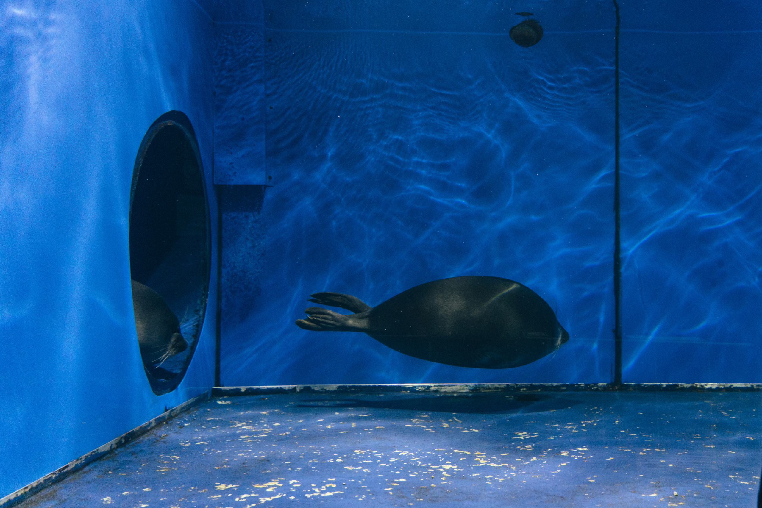 Байкал. Event фотограф Степанова Александра