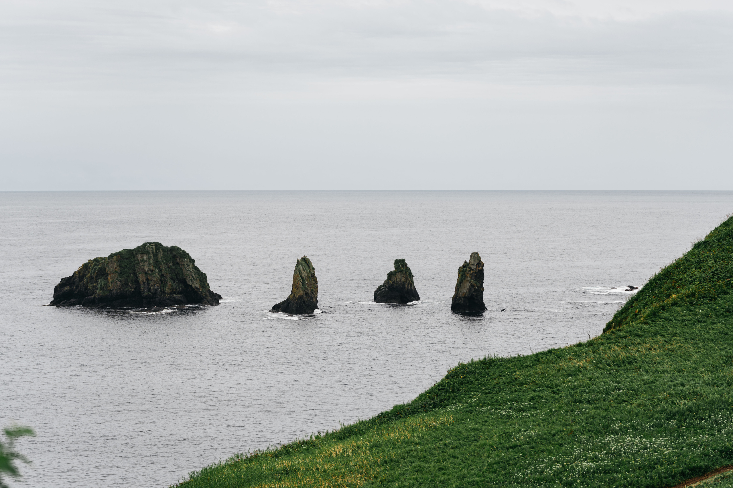 Сахалин. Event фотограф Степанова Александра