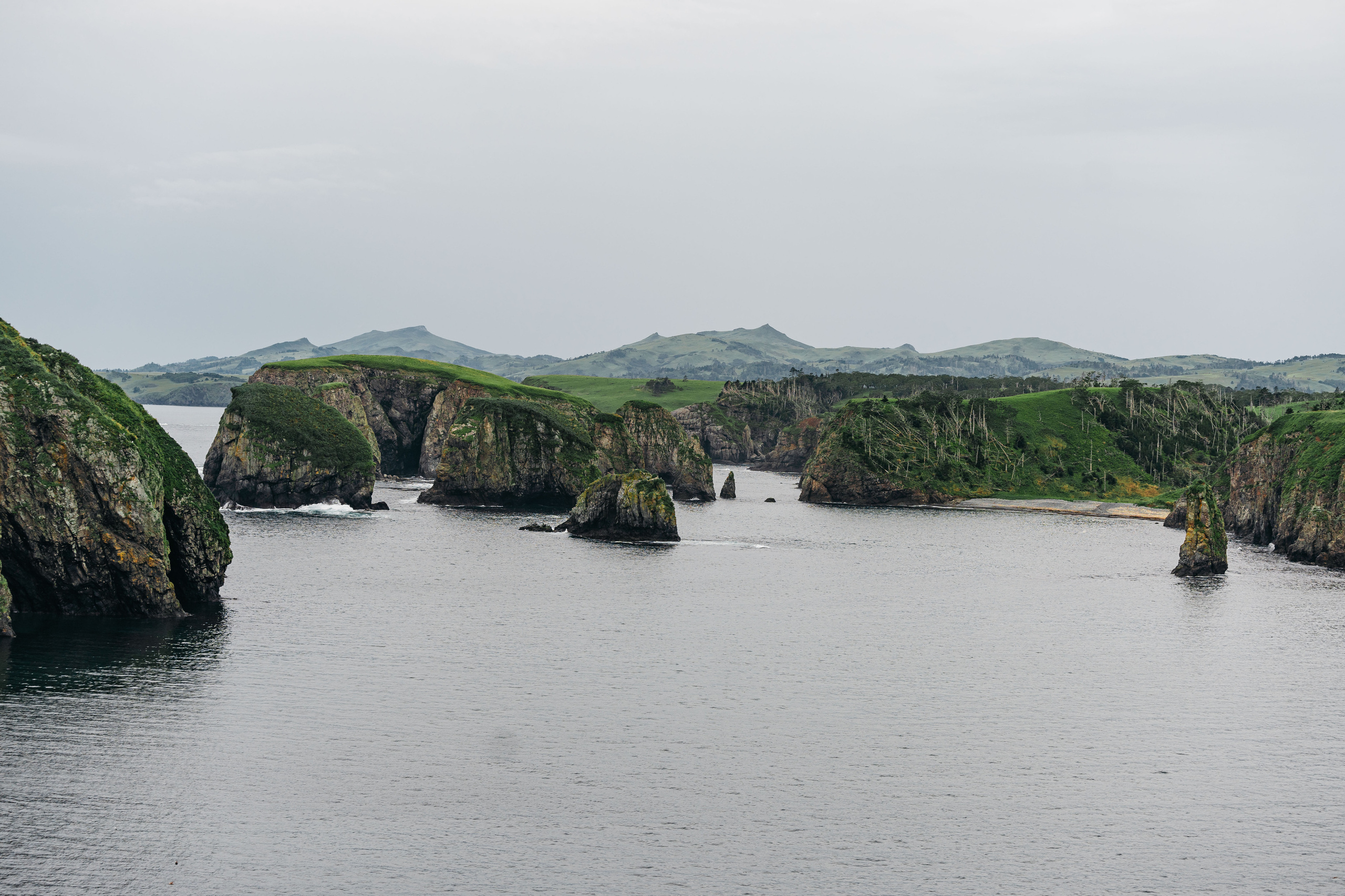 Сахалин. Event фотограф Степанова Александра