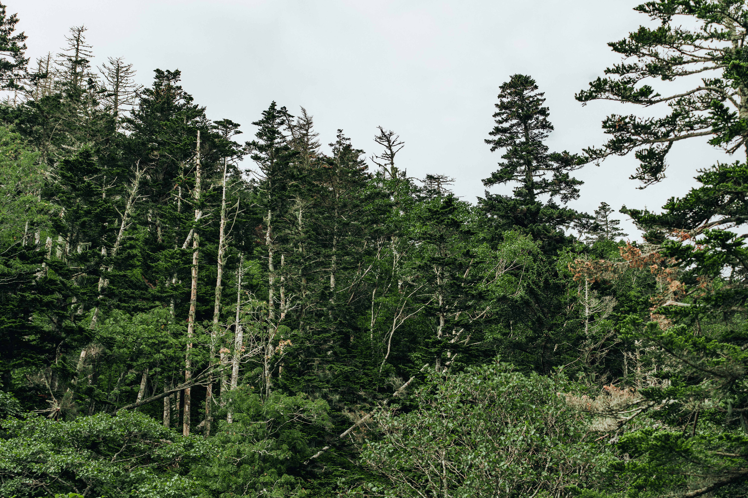 Сахалин. Event фотограф Степанова Александра