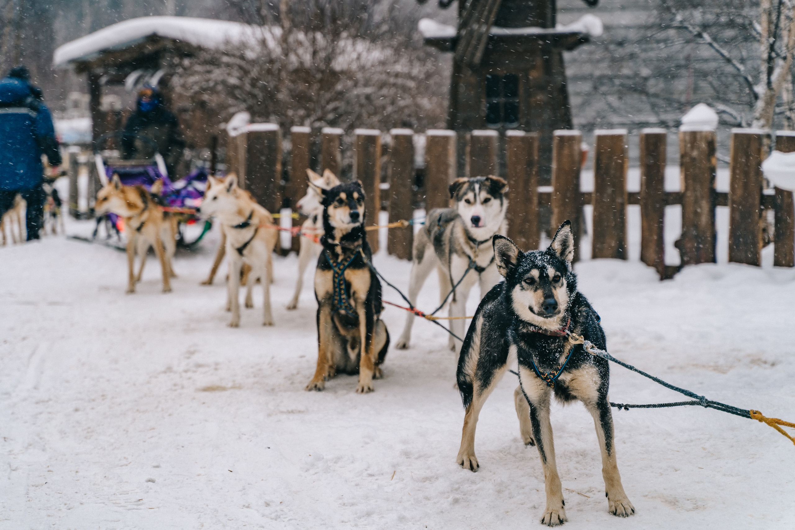Байкал. Event фотограф Степанова Александра