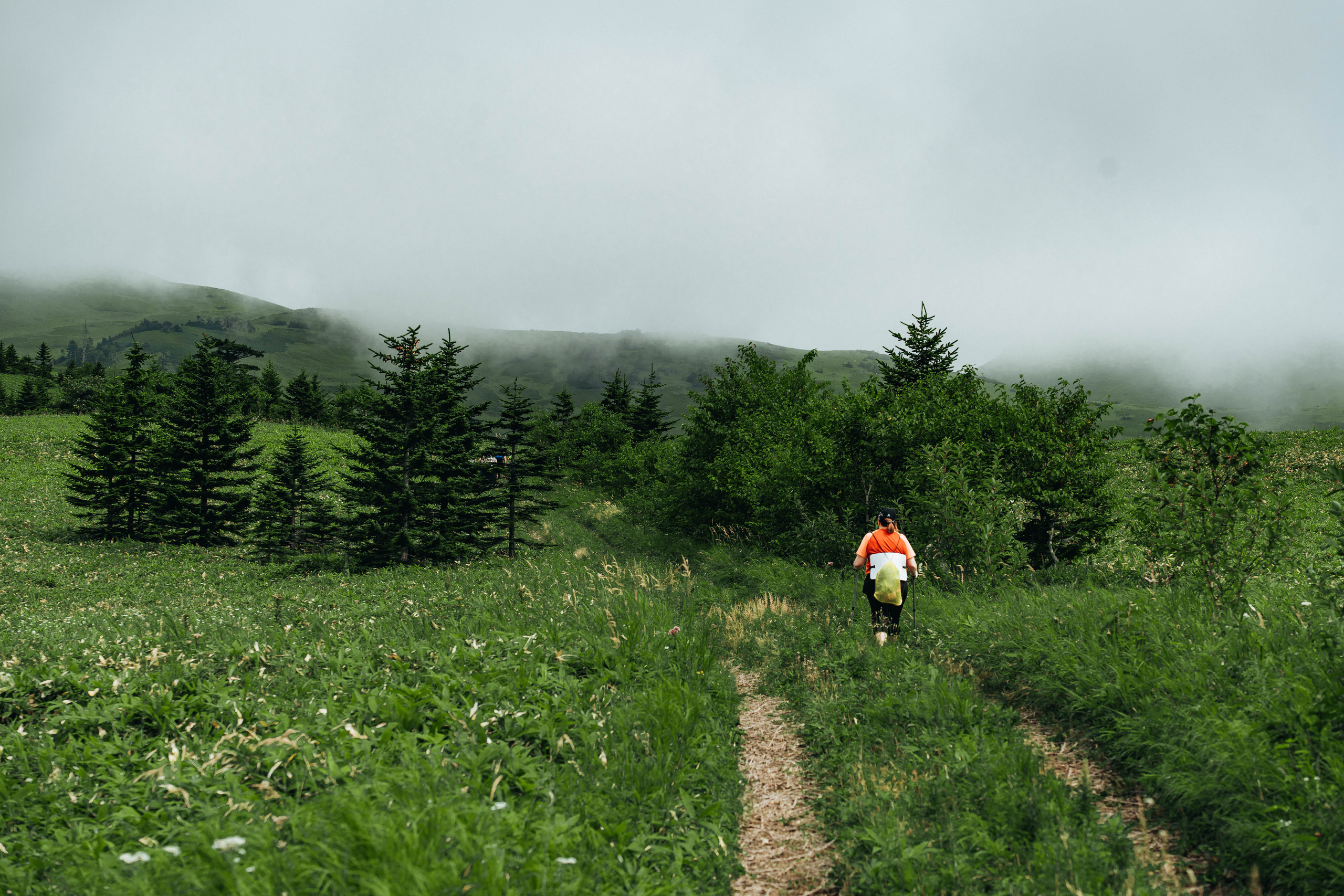 Сахалин. Event фотограф Степанова Александра