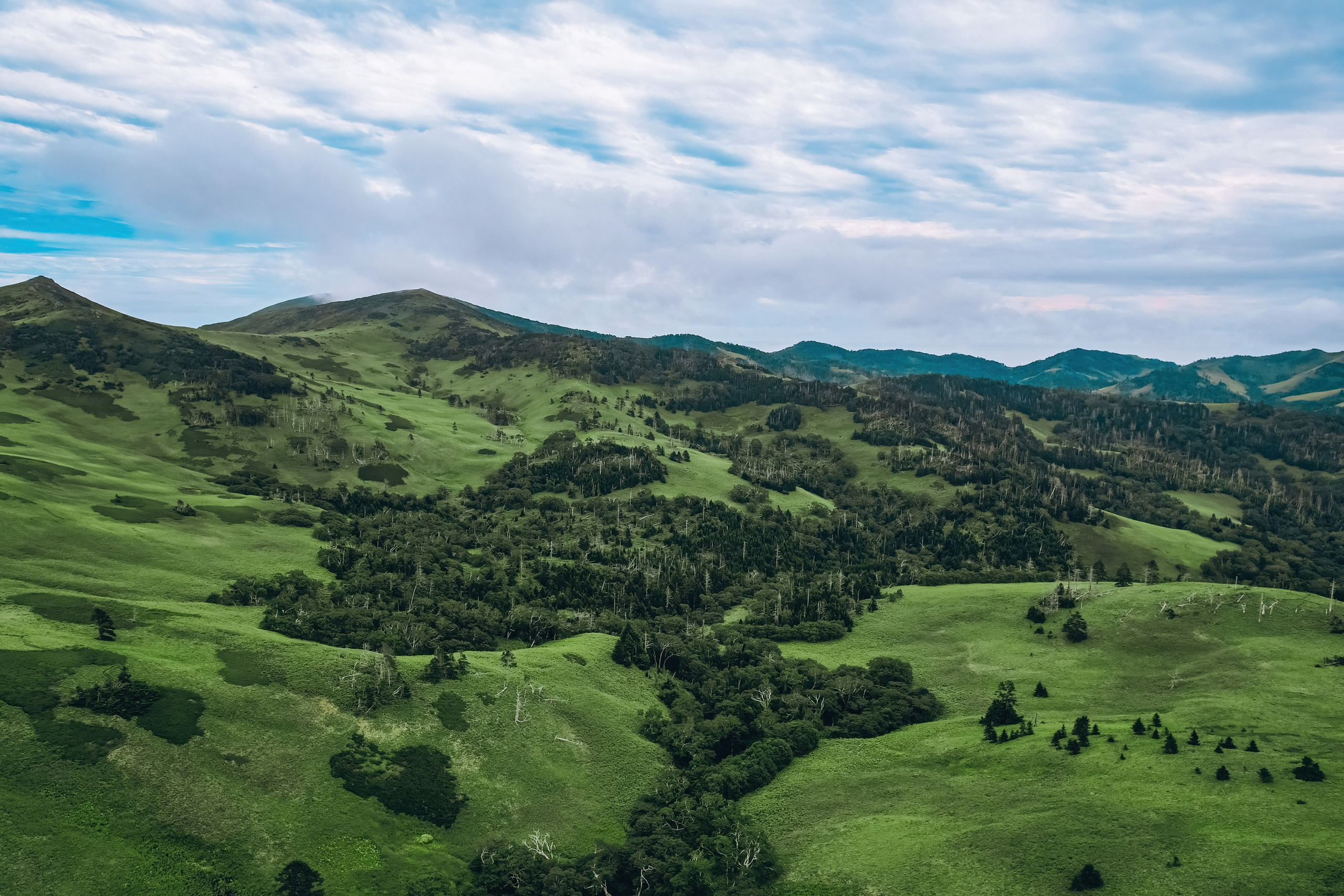Сахалин. Event фотограф Степанова Александра