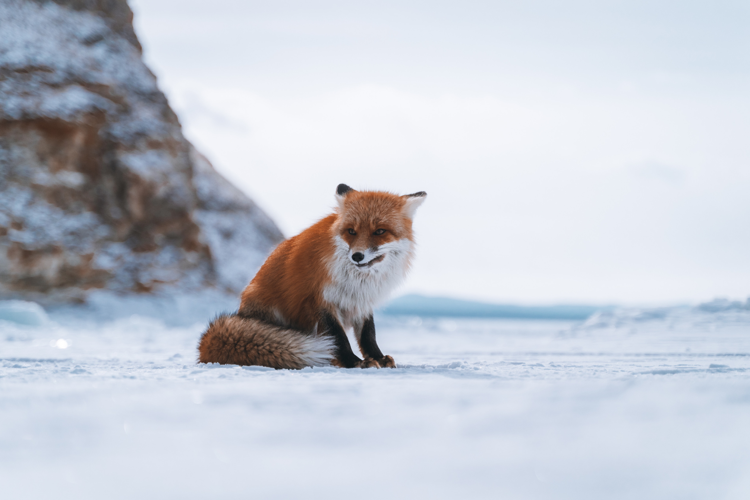 Байкал. Event фотограф Степанова Александра