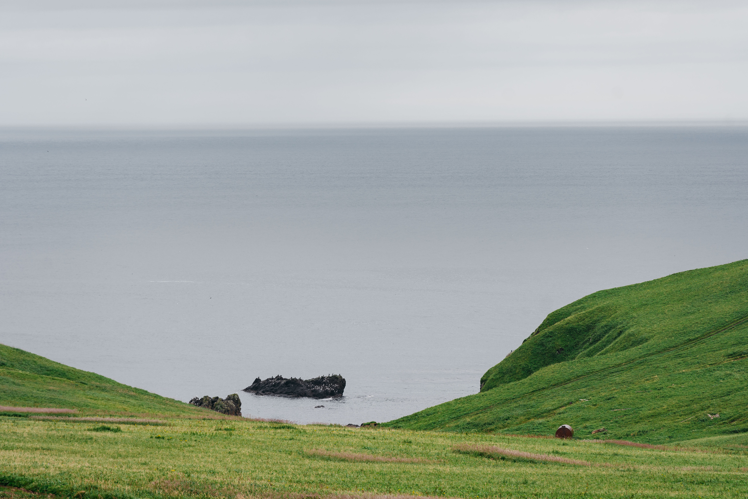 Сахалин. Event фотограф Степанова Александра