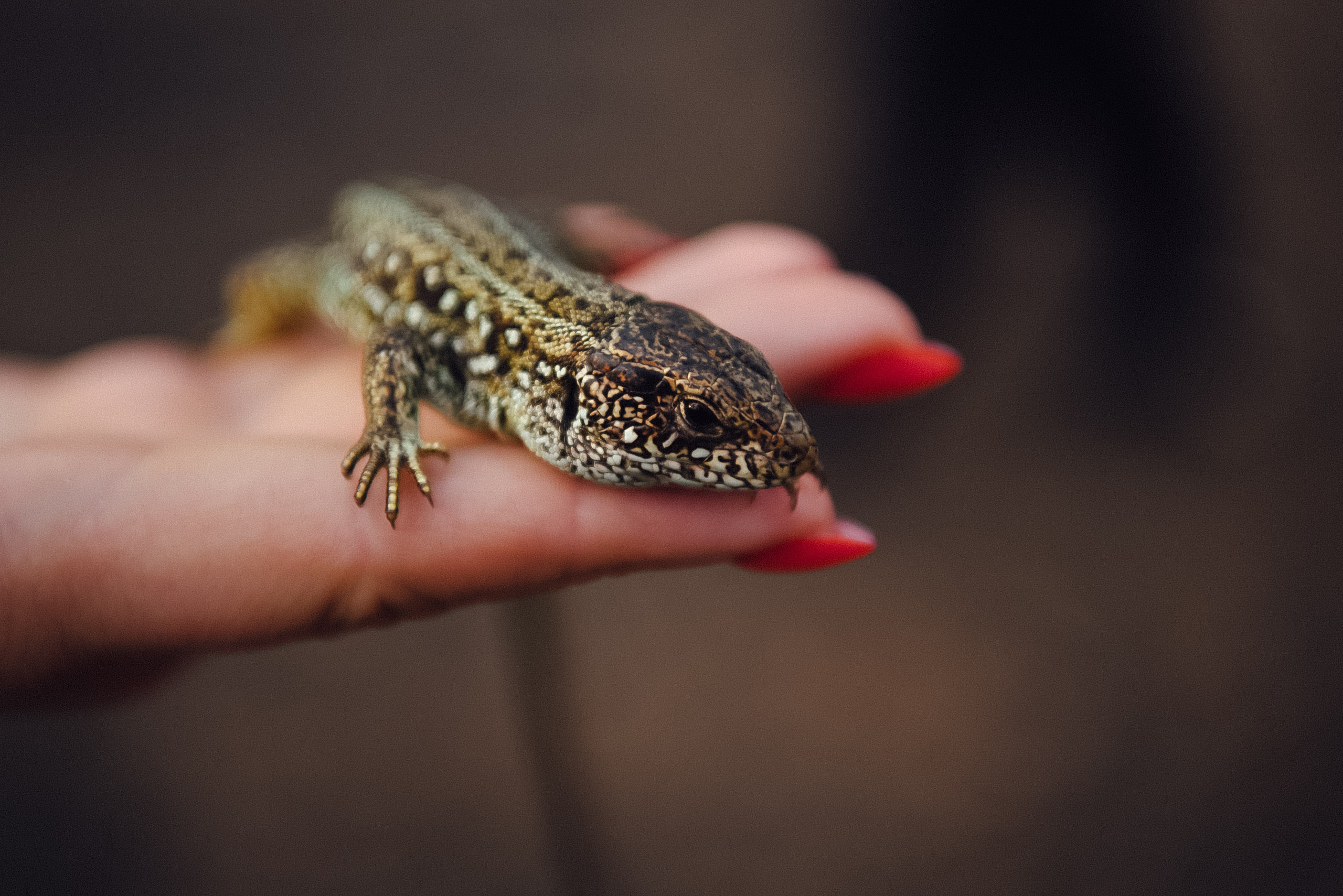 Турслет. Event фотограф Степанова Александра
