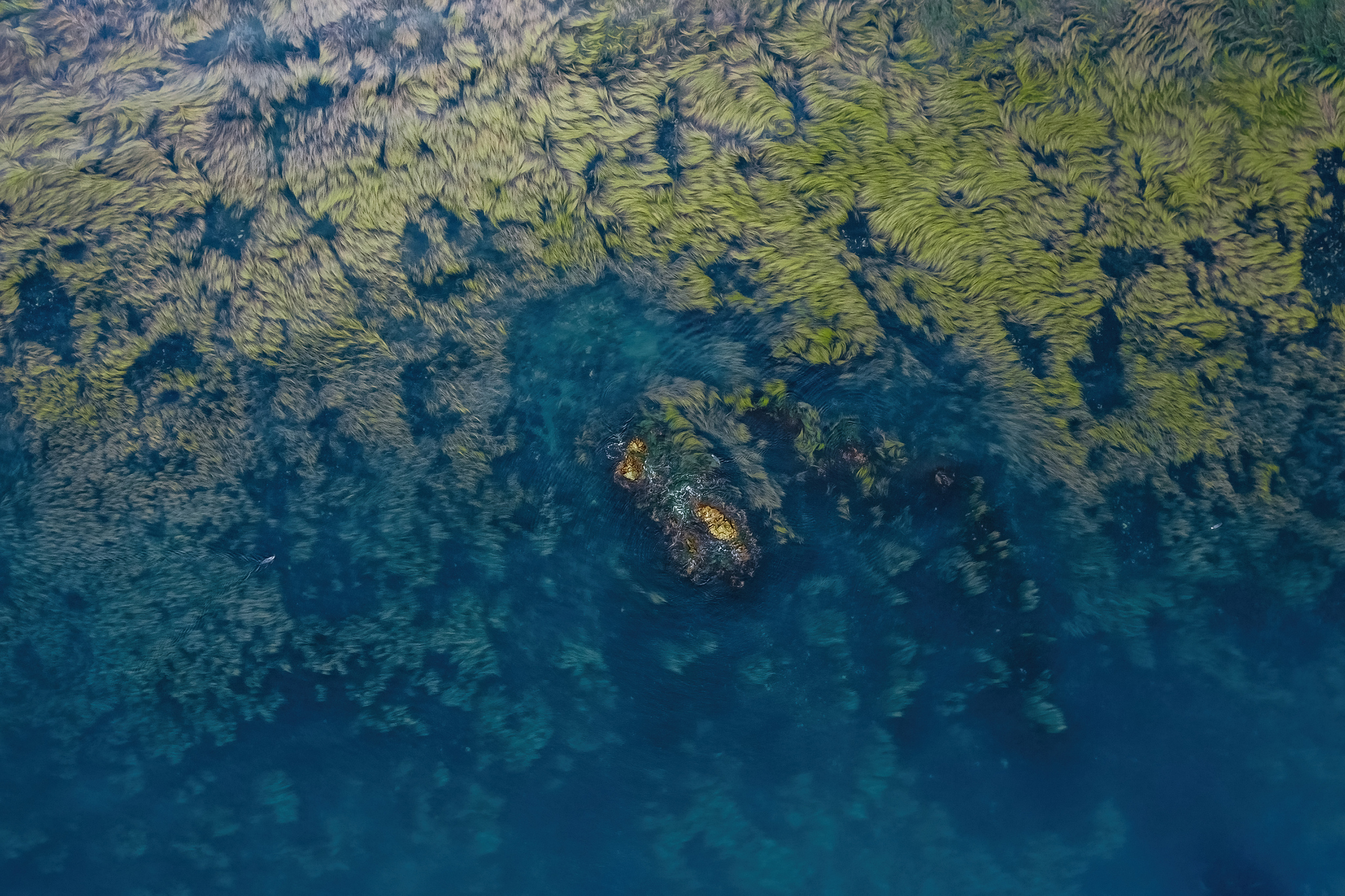 Сахалин. Event фотограф Степанова Александра