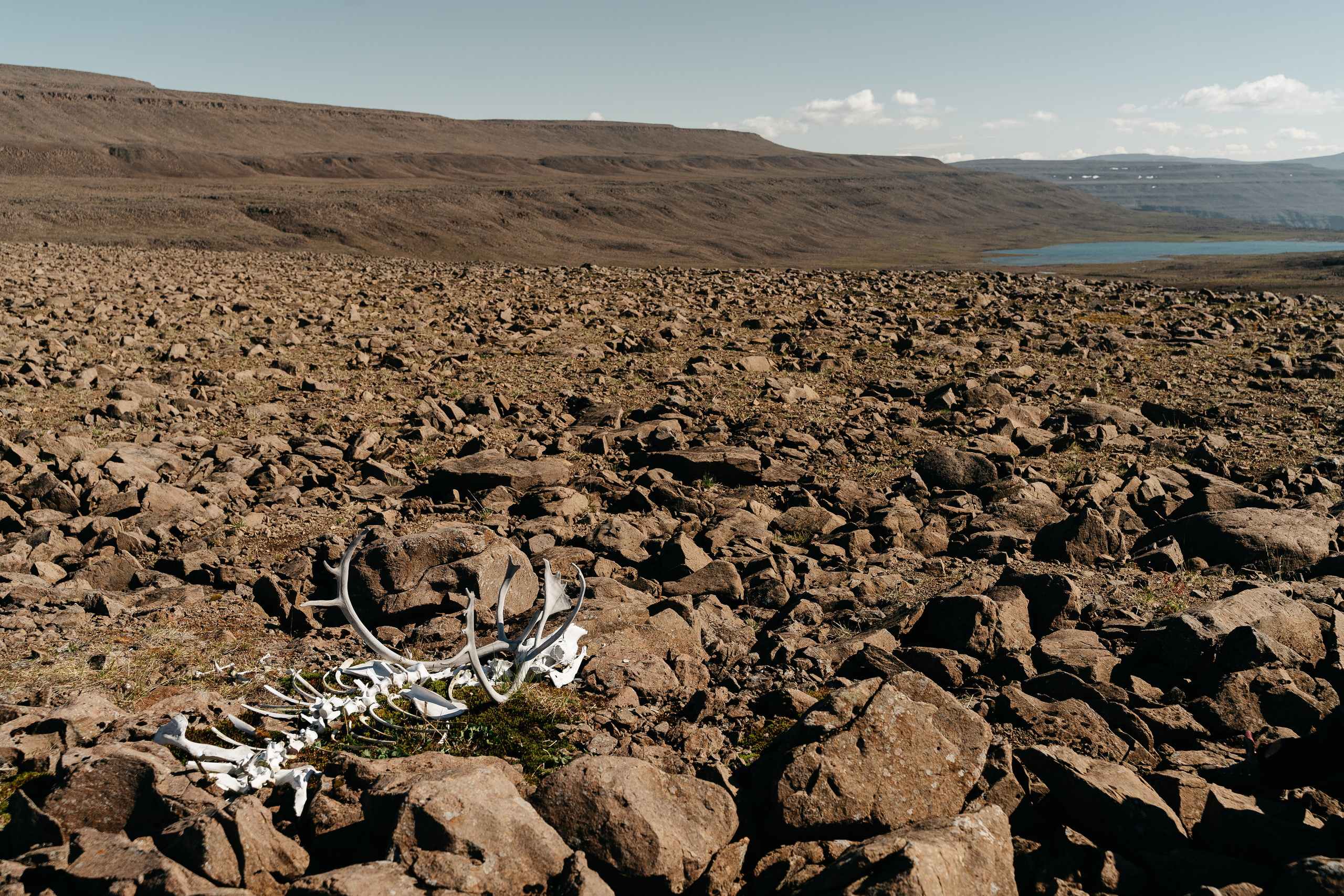 Плато ПУТОРАНА. Event фотограф Степанова Александра