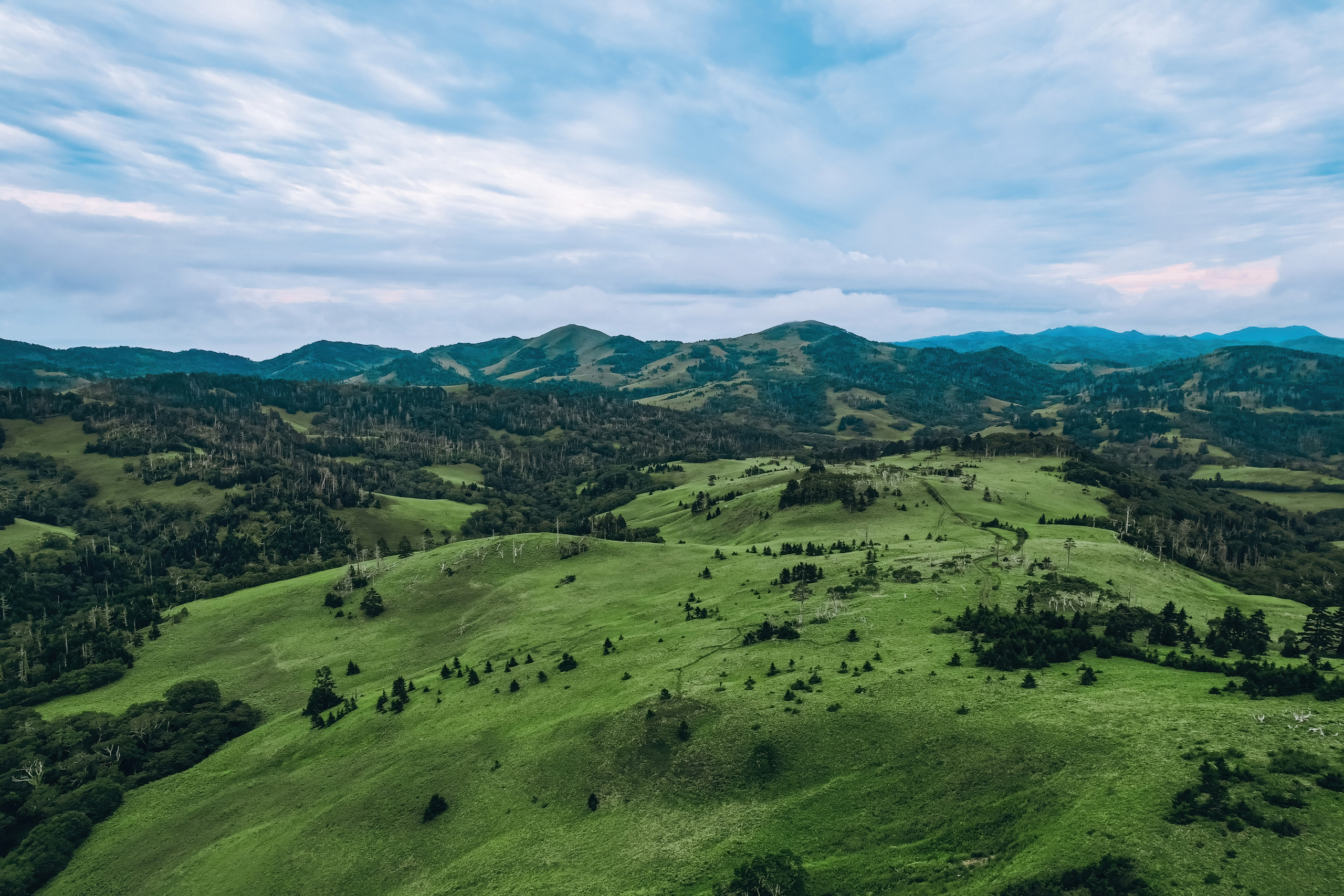 Сахалин. Event фотограф Степанова Александра